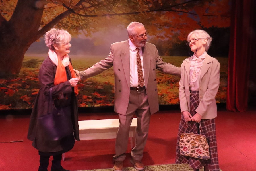 Maple Tree Autumn Scenery Photography Backdrop UK M6-102