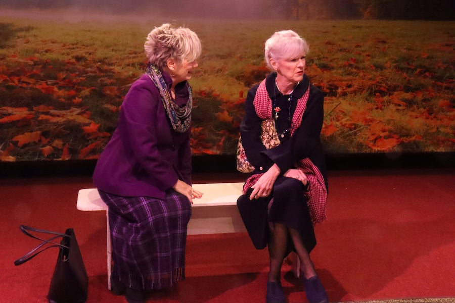 Maple Tree Autumn Scenery Photography Backdrop UK M6-102