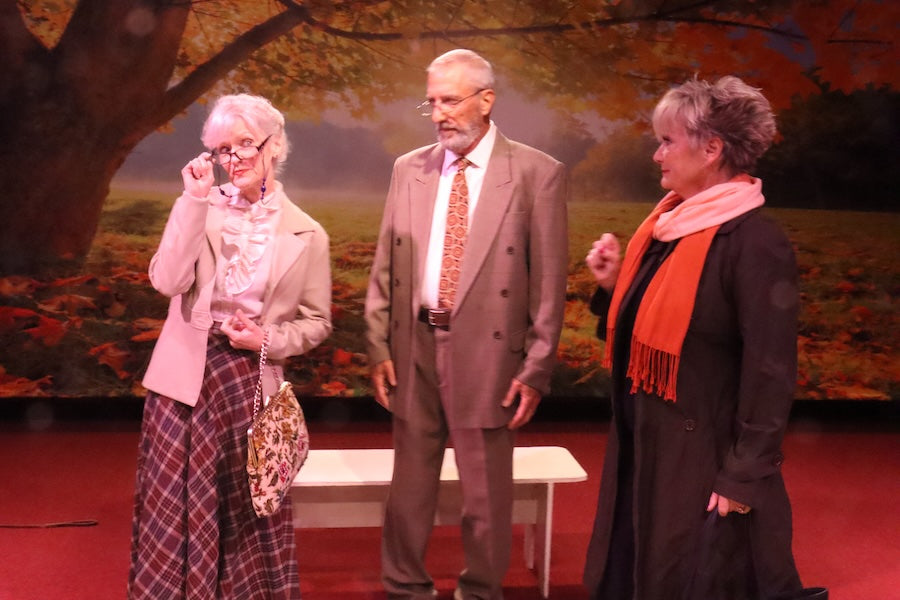 Maple Tree Autumn Scenery Photography Backdrop UK M6-102