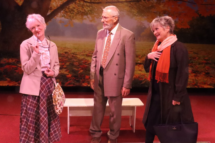 Maple Tree Autumn Scenery Photography Backdrop UK M6-102