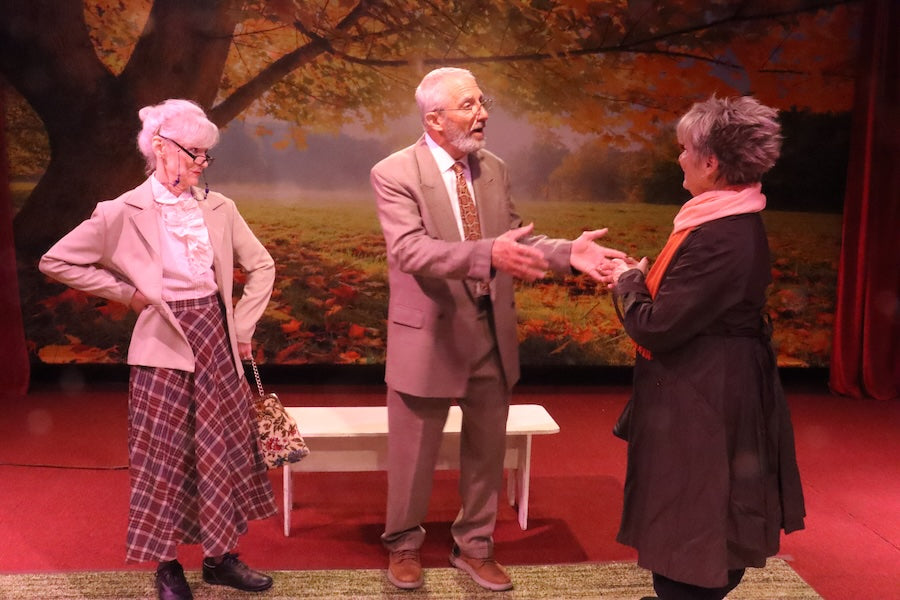 Maple Tree Autumn Scenery Photography Backdrop UK M6-102