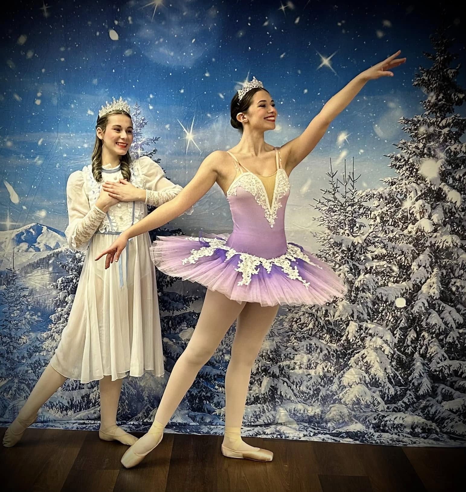 Starry Sky In Winter Snowy Night Backdrop UK M8-17