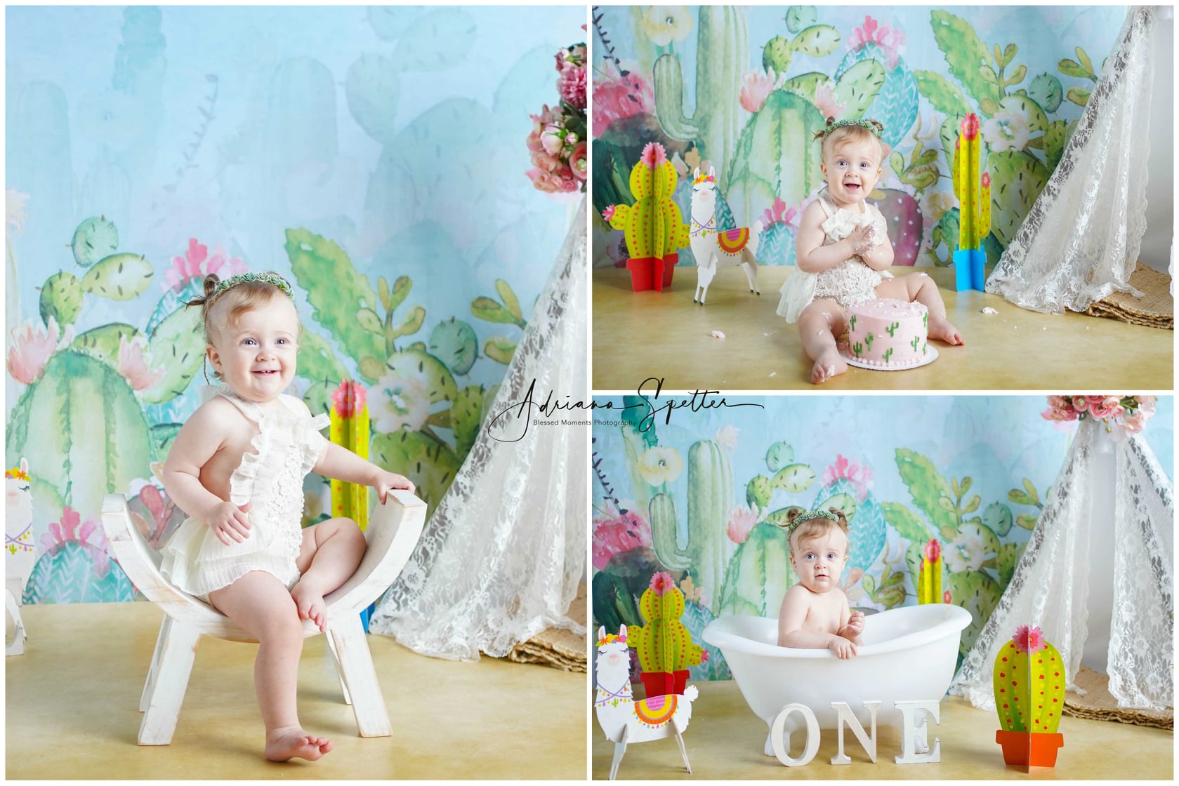 Kids Photo Backdrop Cactus Garden Flowers Newborn Backdrop UK MRR10-39