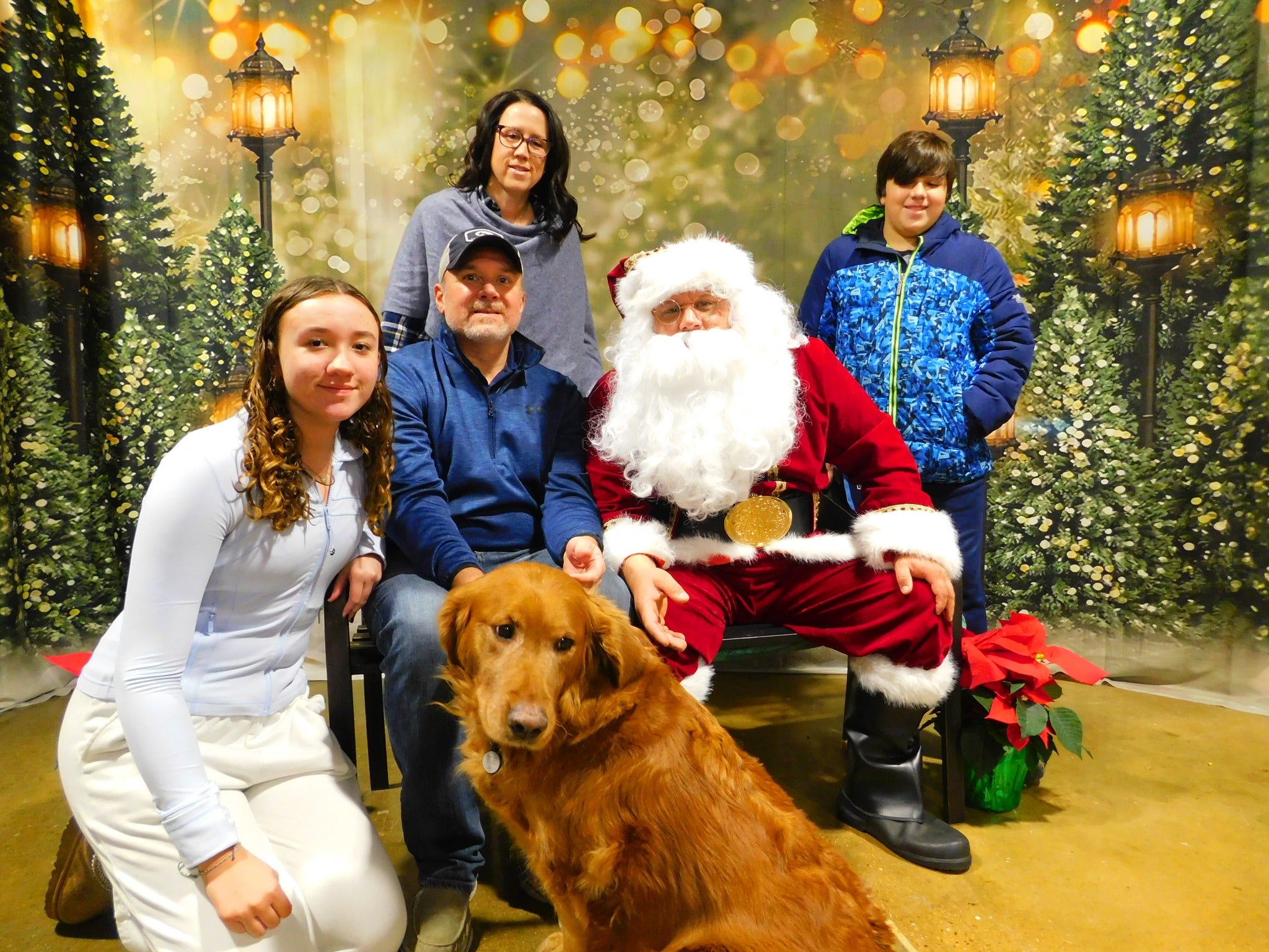 Outdoor Christmas Trees Lights Flashing backdrop UK G-1440