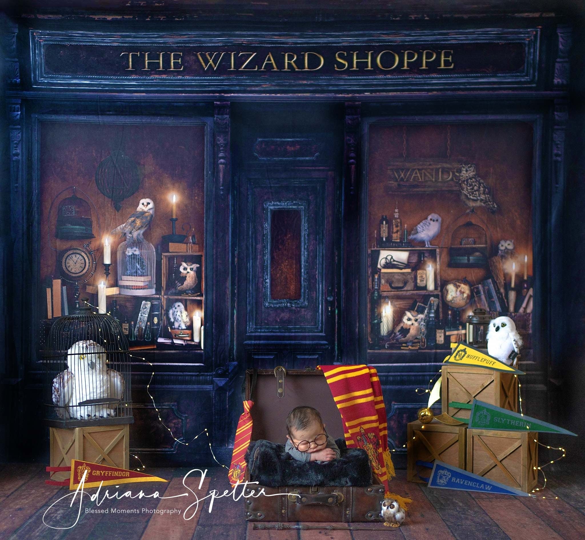 Halloween Backdrop Magical Wizard Shop Window Halloween Photo Backdrop UK MRR10-23