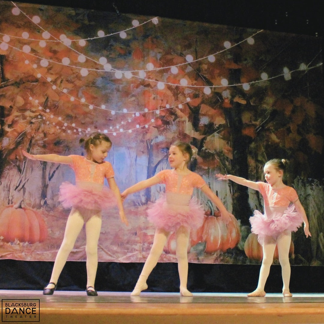 Autumn Pumpkin Forest Photo Booth Backdrop D827