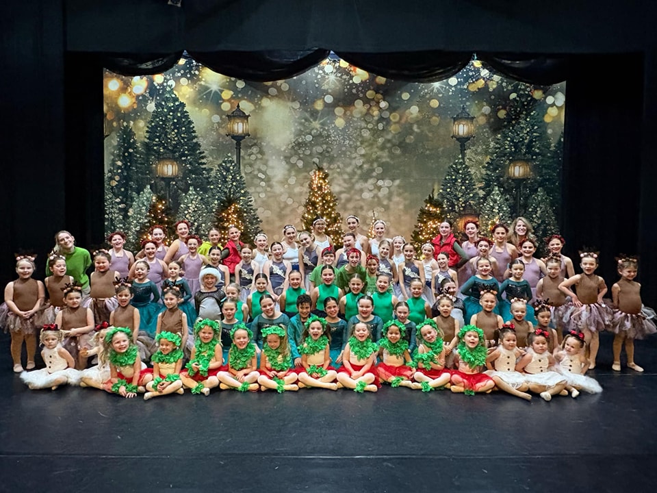 Outdoor Christmas Trees Lights Flashing backdrop UK G-1440