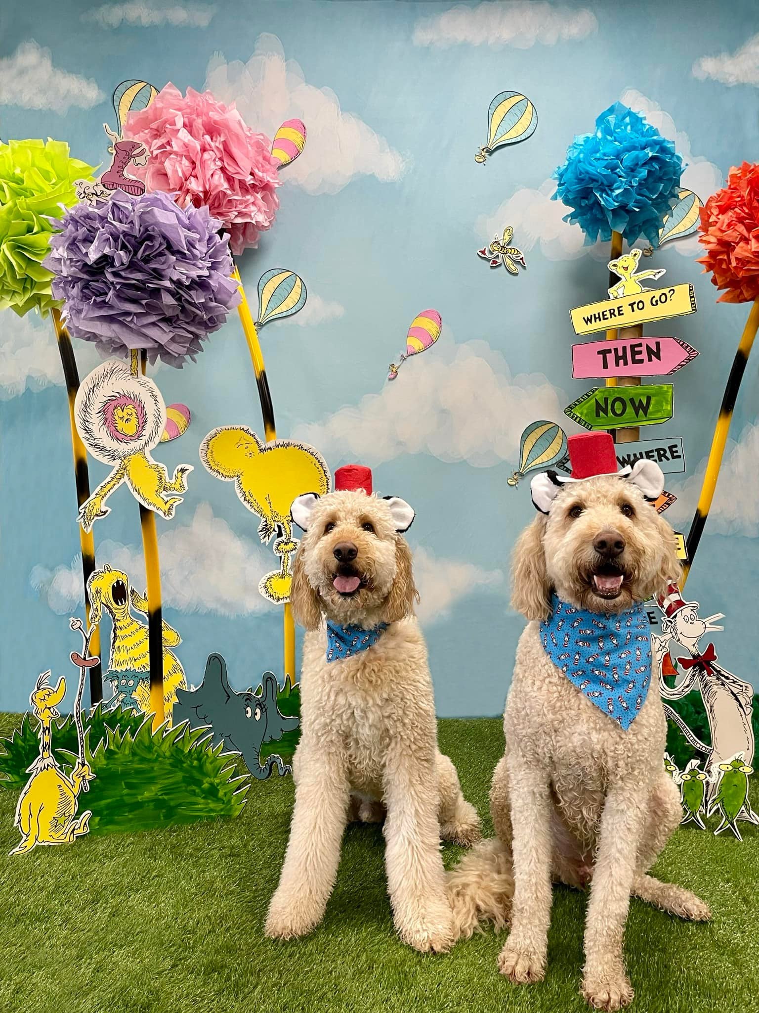 Beautiful Blue Sky and White Clouds Background for Newborn Photography NB-367