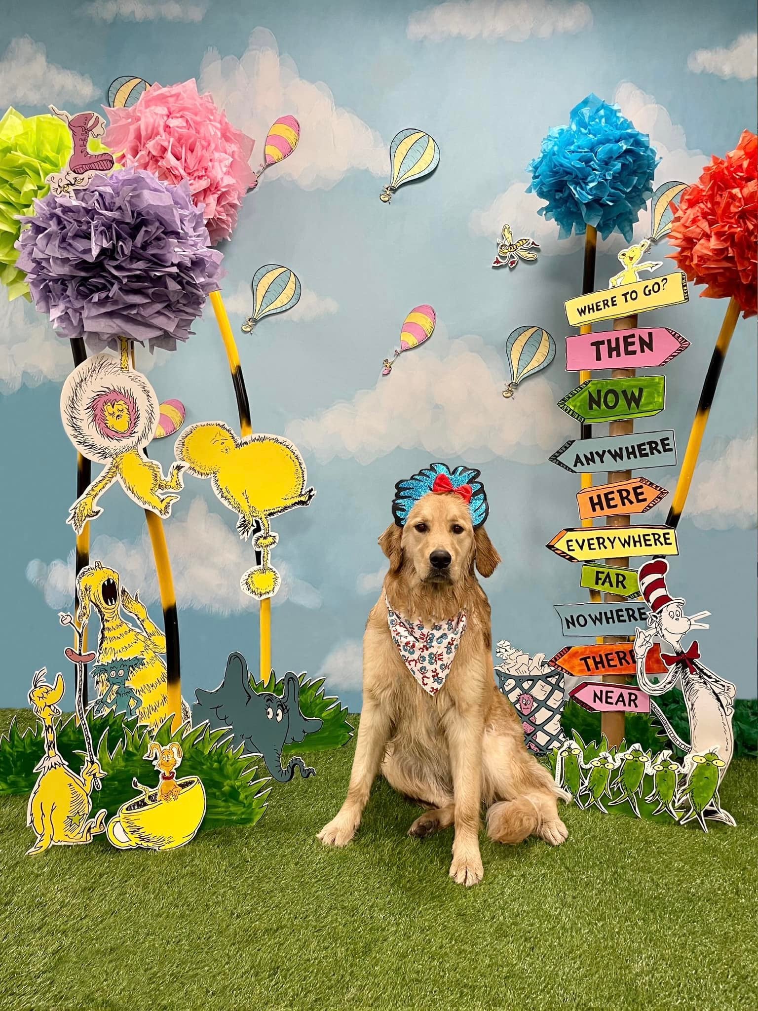 Beautiful Blue Sky and White Clouds Background for Newborn Photography NB-367