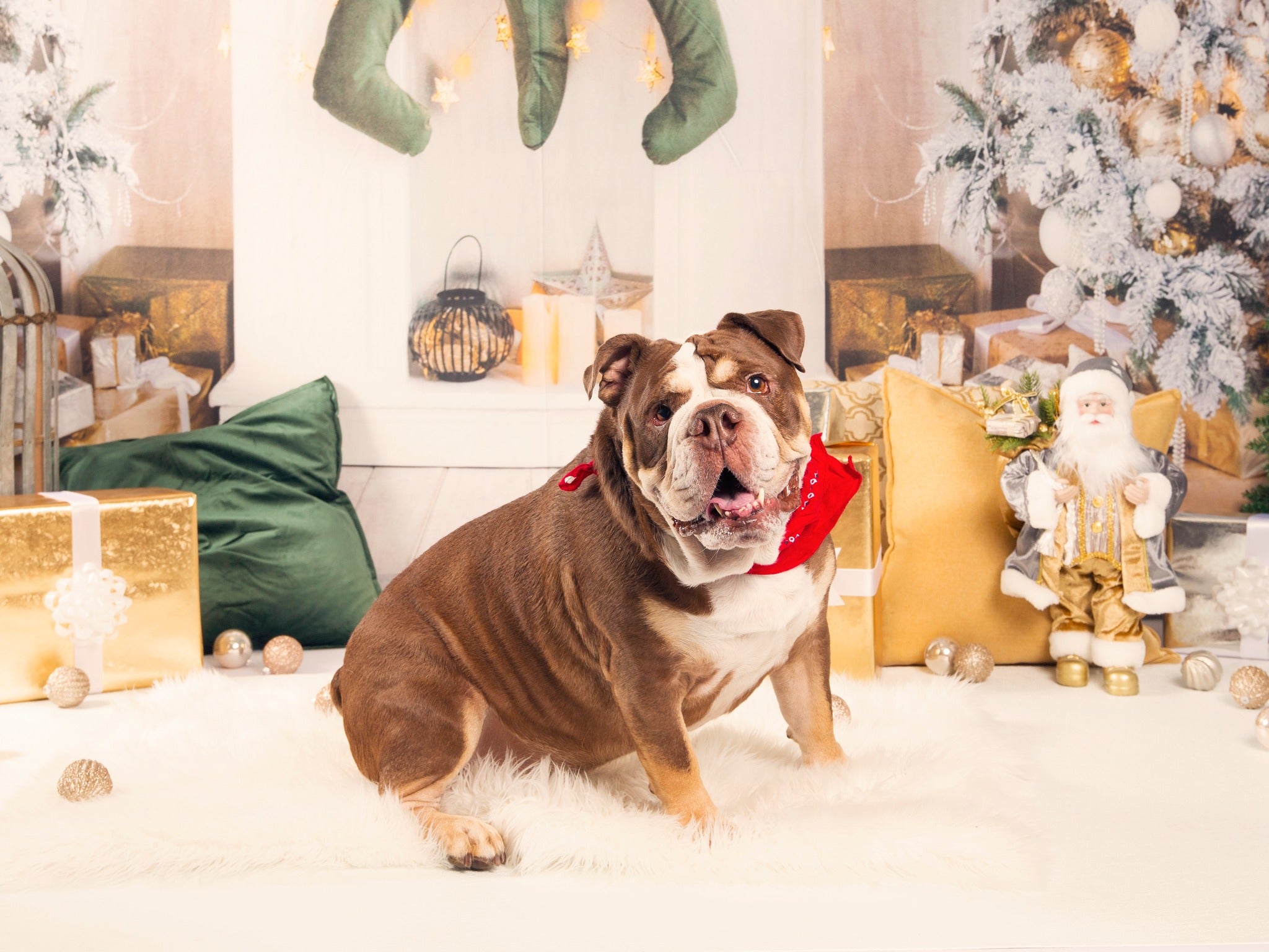 Xmas Tree Socks Fireplace Door Backdrop UK D940