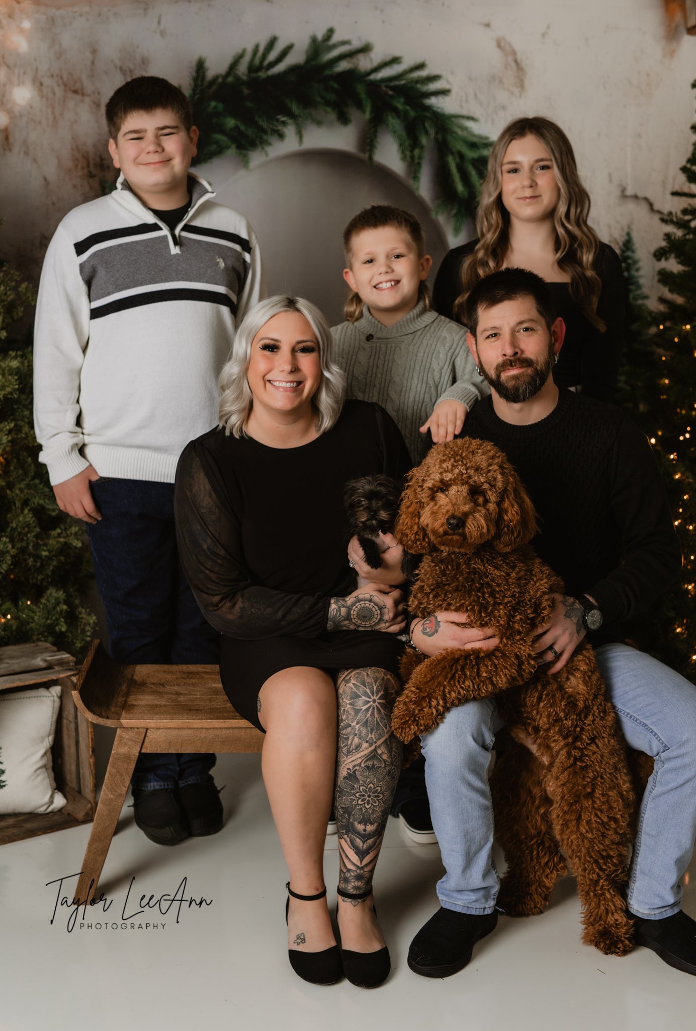 Christmas Tree Arch Photography Backdrop UK RR8-347