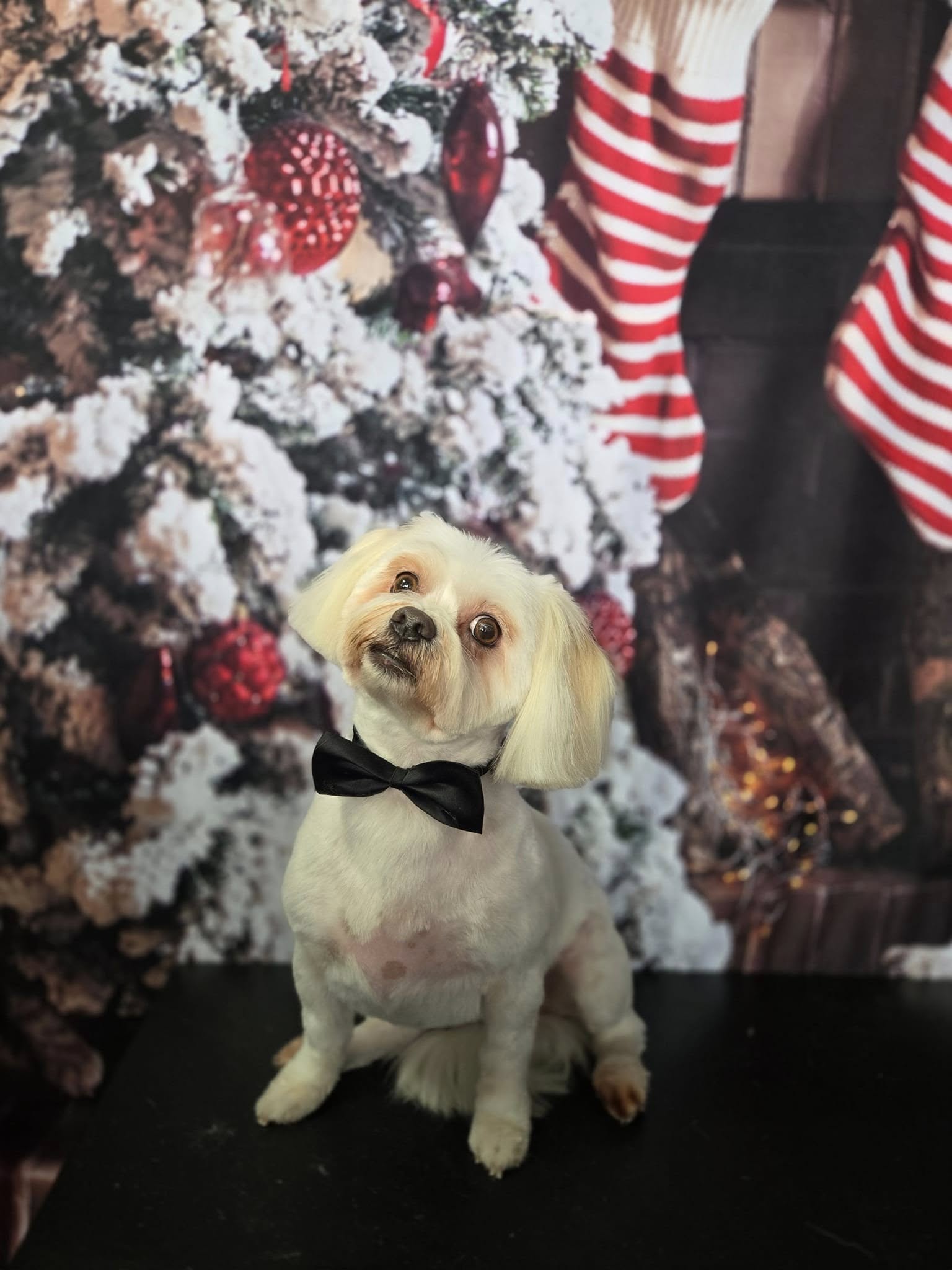 Christmas Tree Fireplace Decoration Backdrop uk For Photo Shoot KAT-63