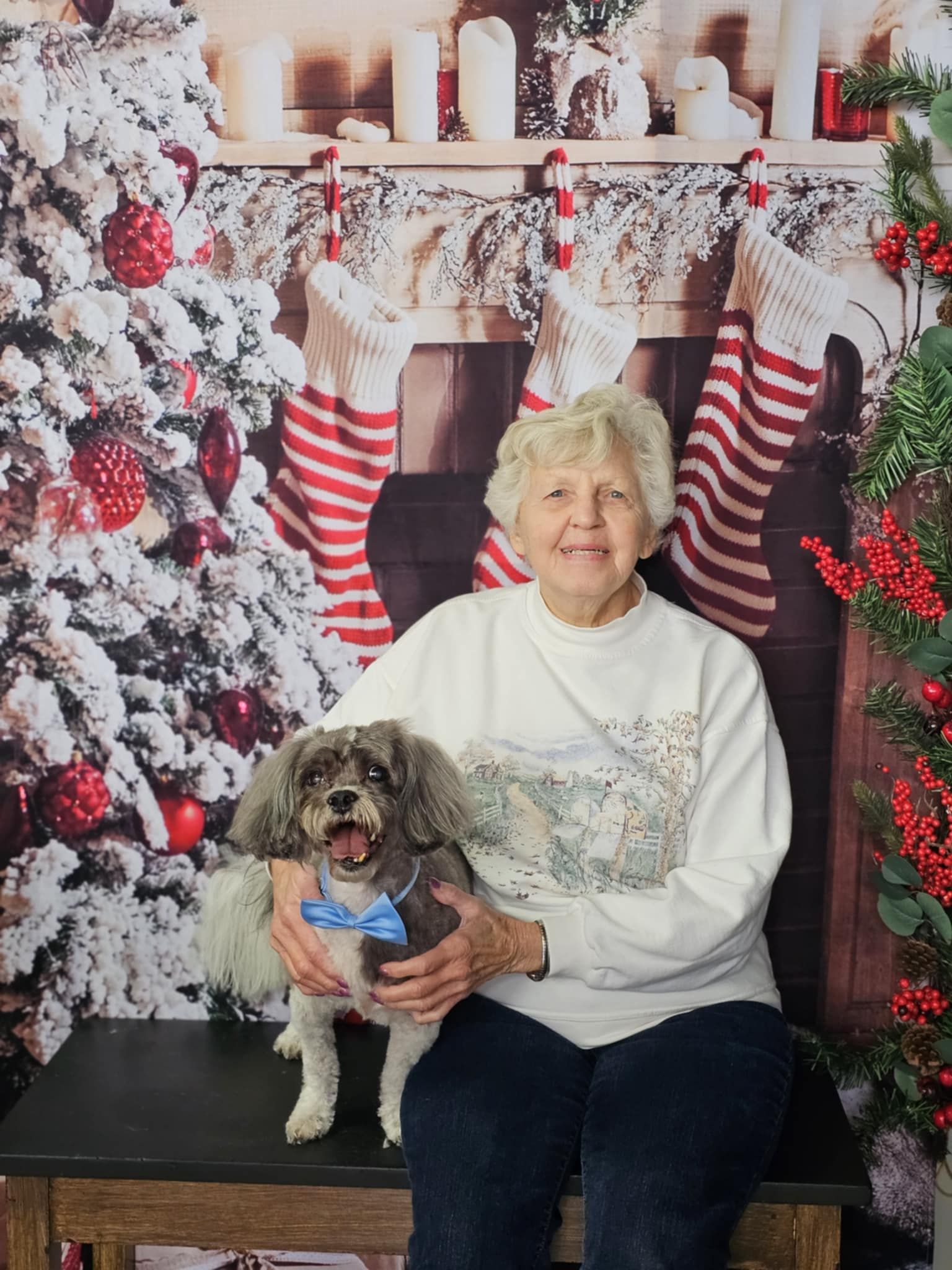 Christmas Tree Fireplace Decoration Backdrop uk For Photo Shoot KAT-63