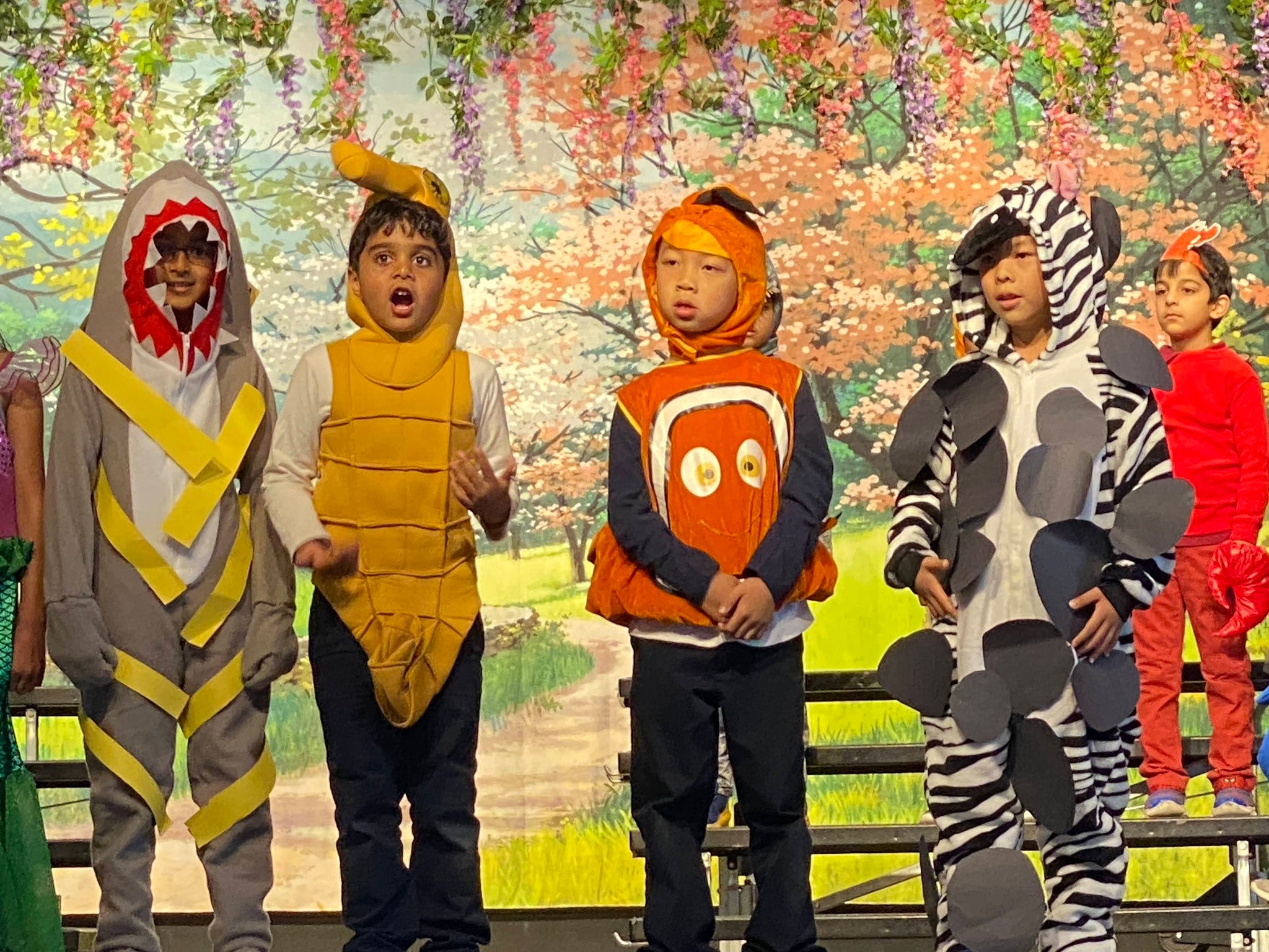 Spring Flowers Mountain Scenery Baclkdrop for Studio  S-2741