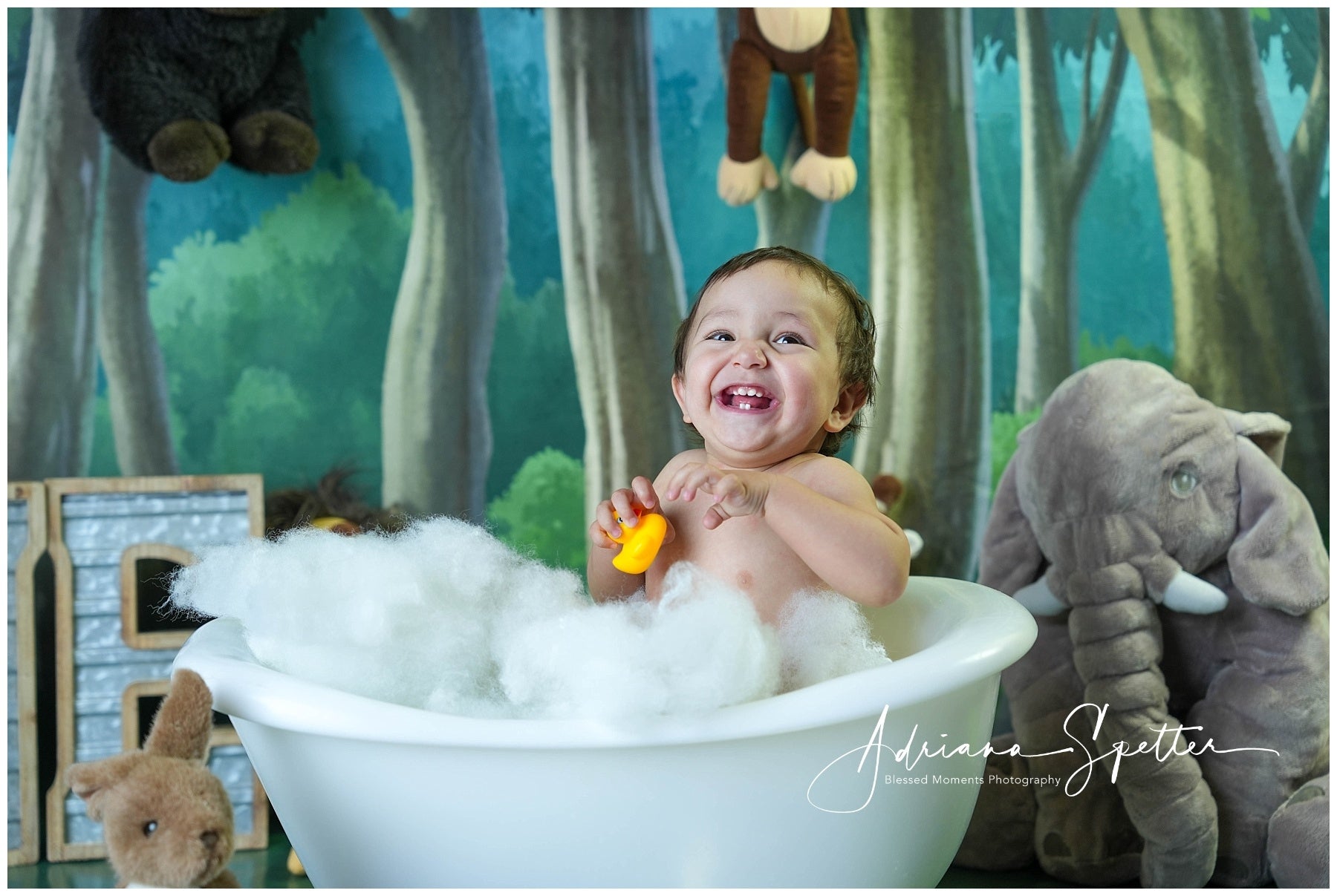 Newborn Backdrop Enchanted Forest Trees Kids Photo Backdrop UK MRR10-24