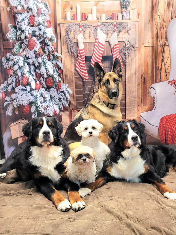 Christmas Stove Gift Socks Wooden Christmas Backdrop UK DBD-H19172