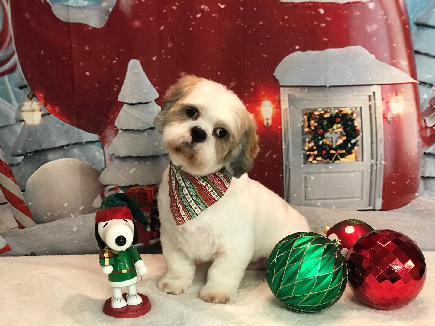 Christmas Night Tea House Snow Photo Shoot backdrop UK  LV-983