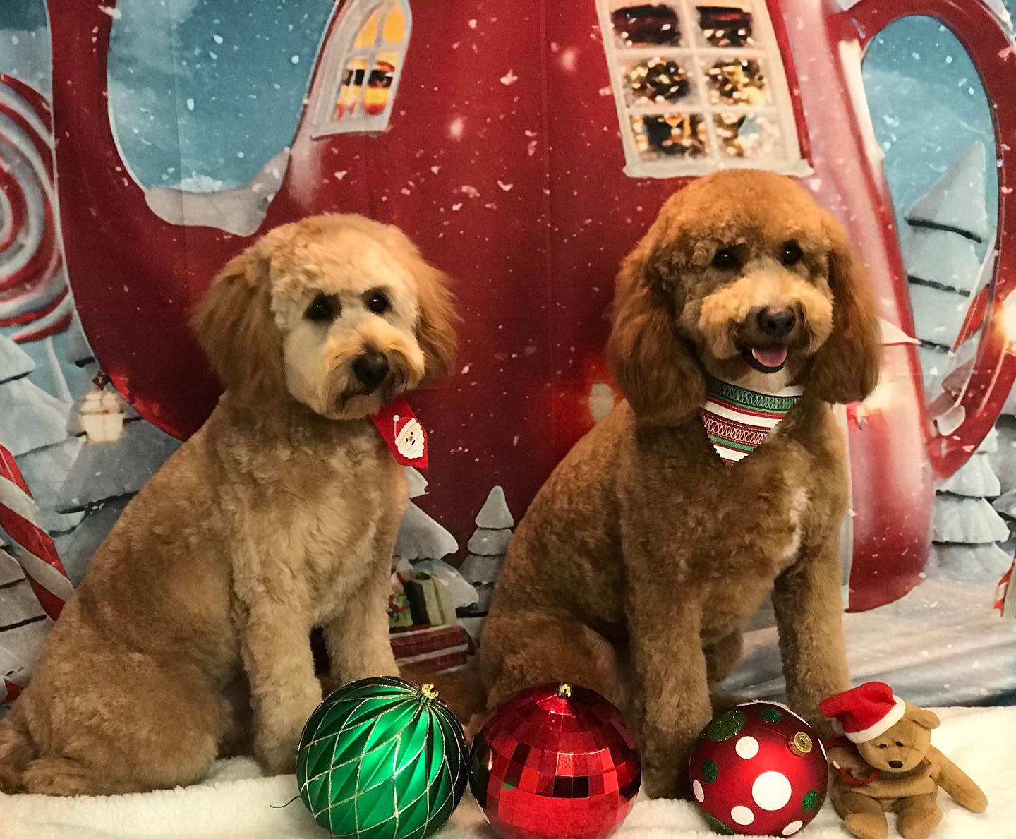 Christmas Night Tea House Snow Photo Shoot backdrop UK  LV-983