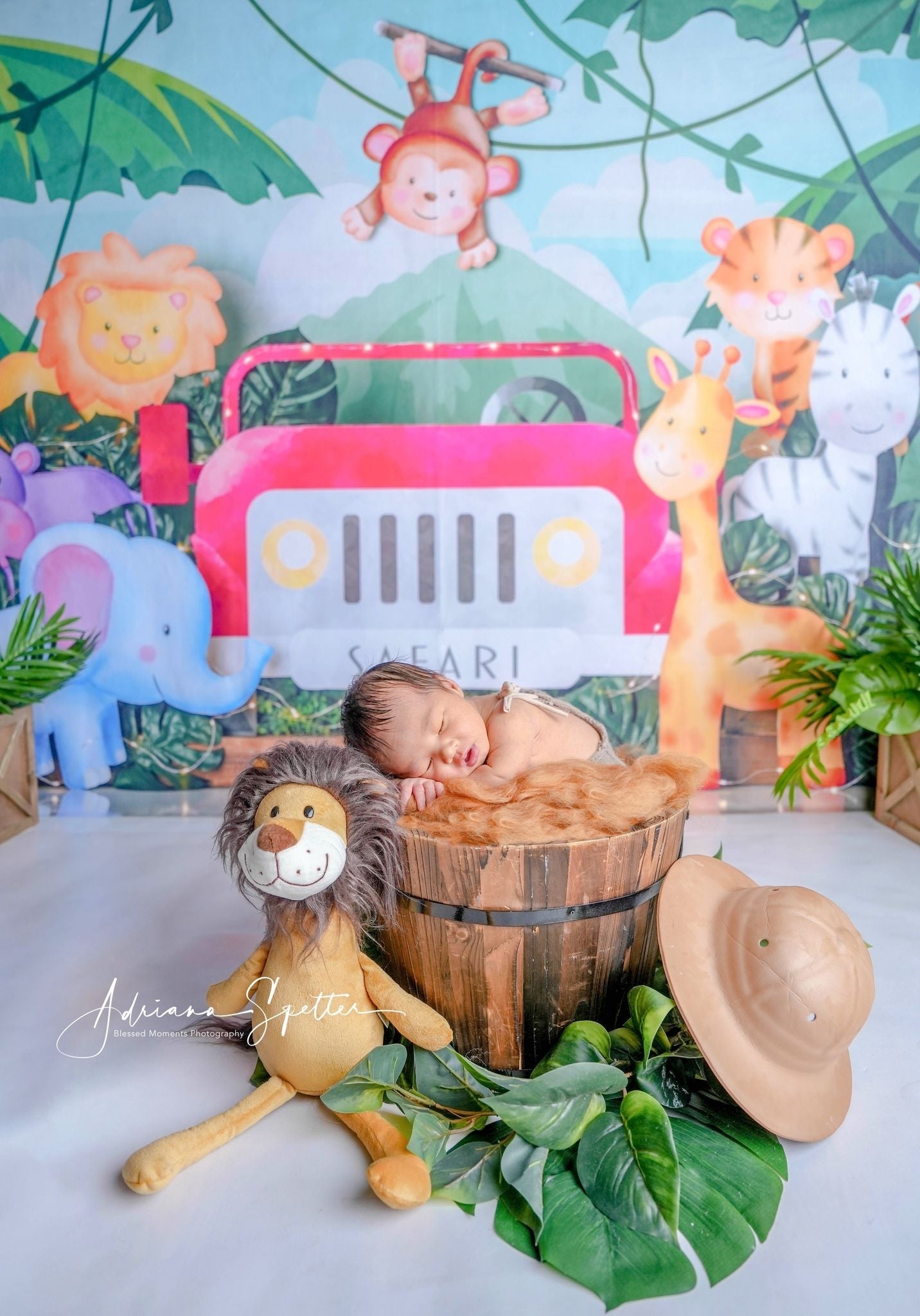 Kids Photo Backdrop Safari Jungle Adventure Children Backdrops UK MRR10-50