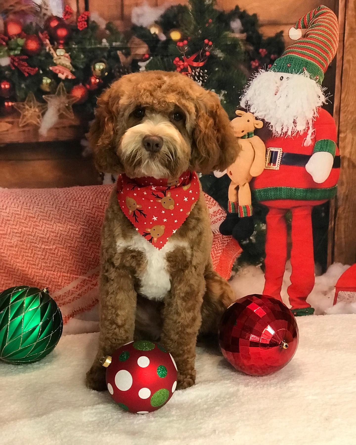 Christmas Winter Snowman Backdrop UK for Photography DBD-H19176