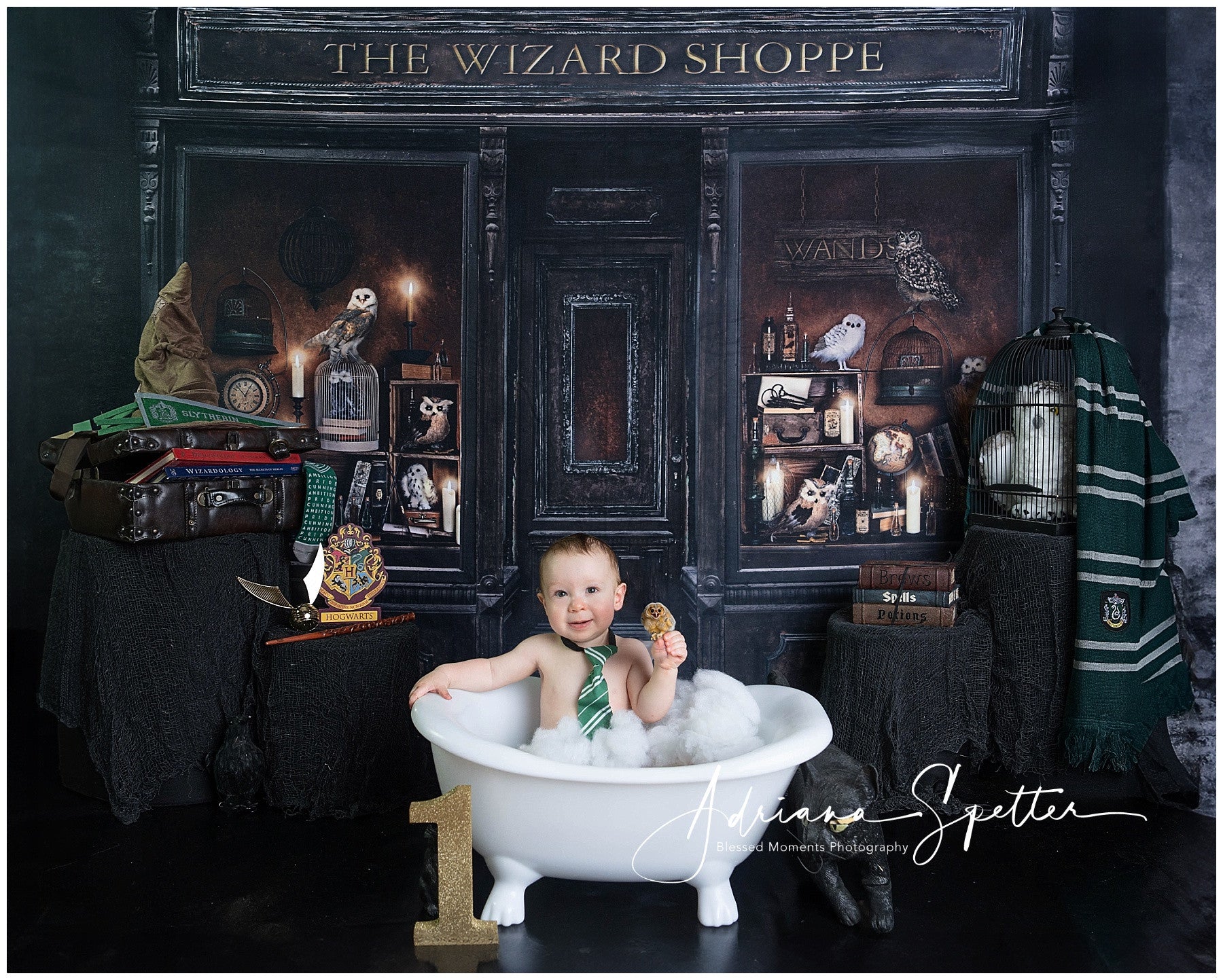 Halloween Backdrop Magical Wizard Shop Window Halloween Photo Backdrop UK MRR10-23