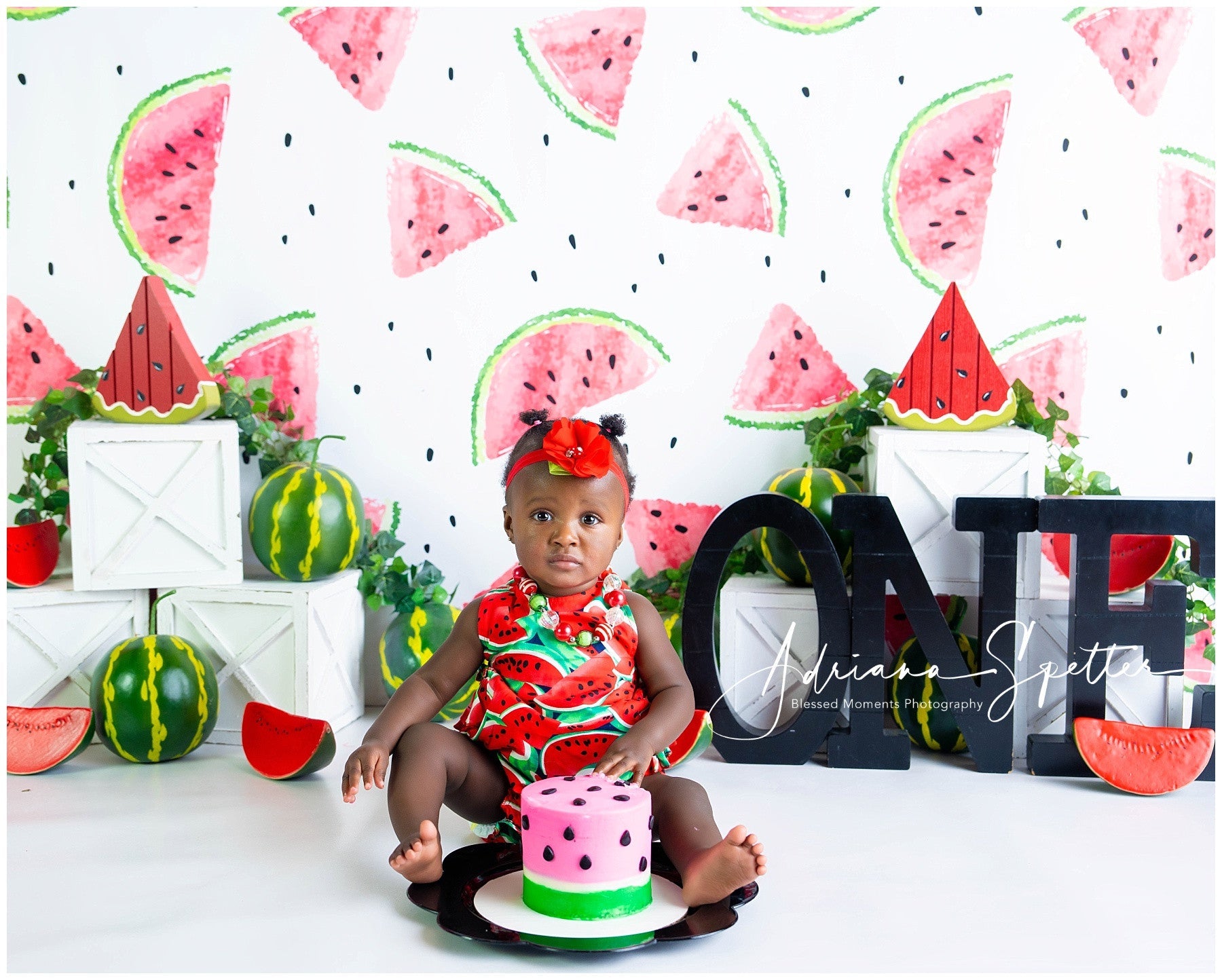Cake Smash Backdrop Watermelon Pattern Summer Birthday Backdrop UK MRR10-19