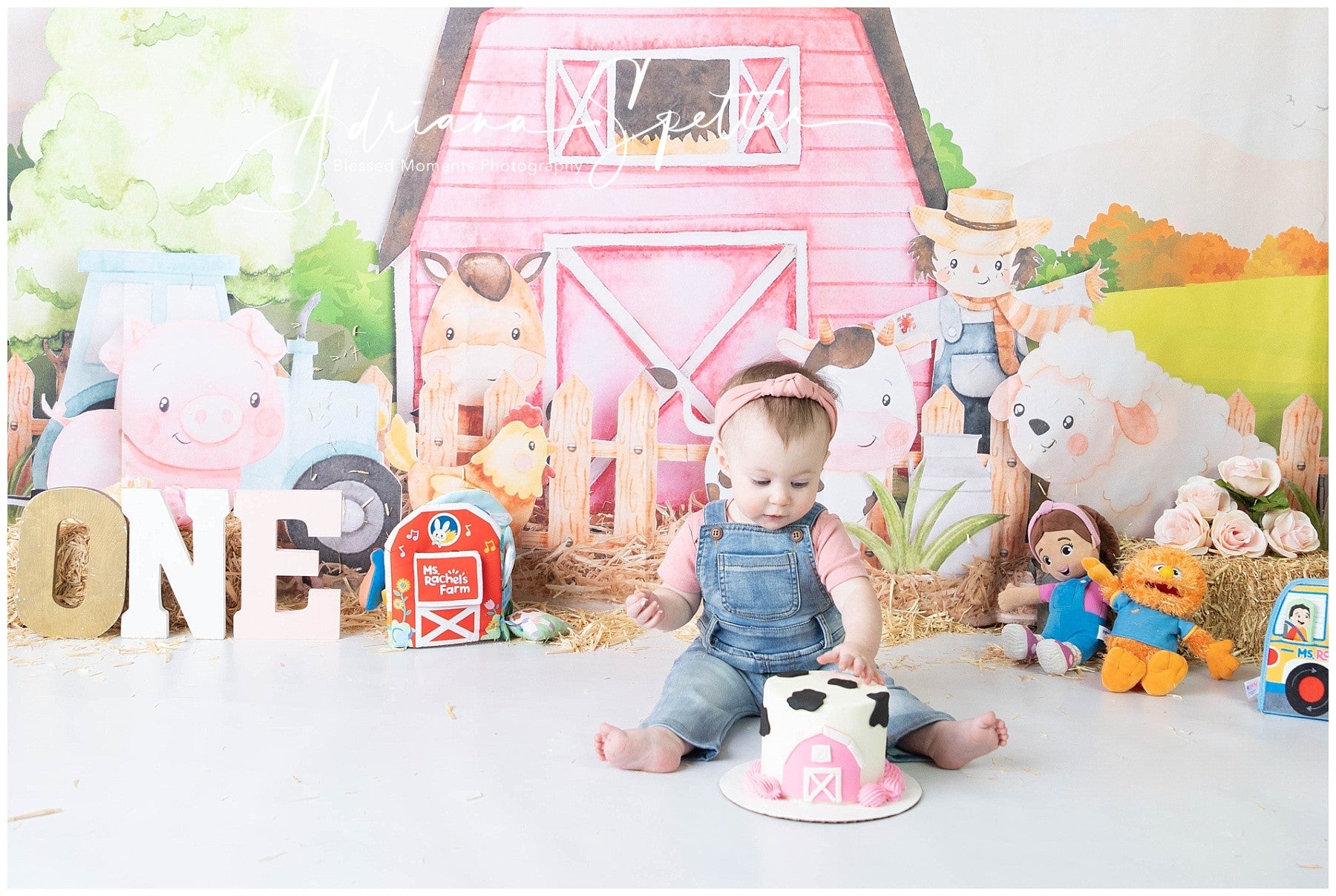 Kids Photo Backdrop Cartoon Farm Animals Barn Newborn Backdrop UK MRR9-125