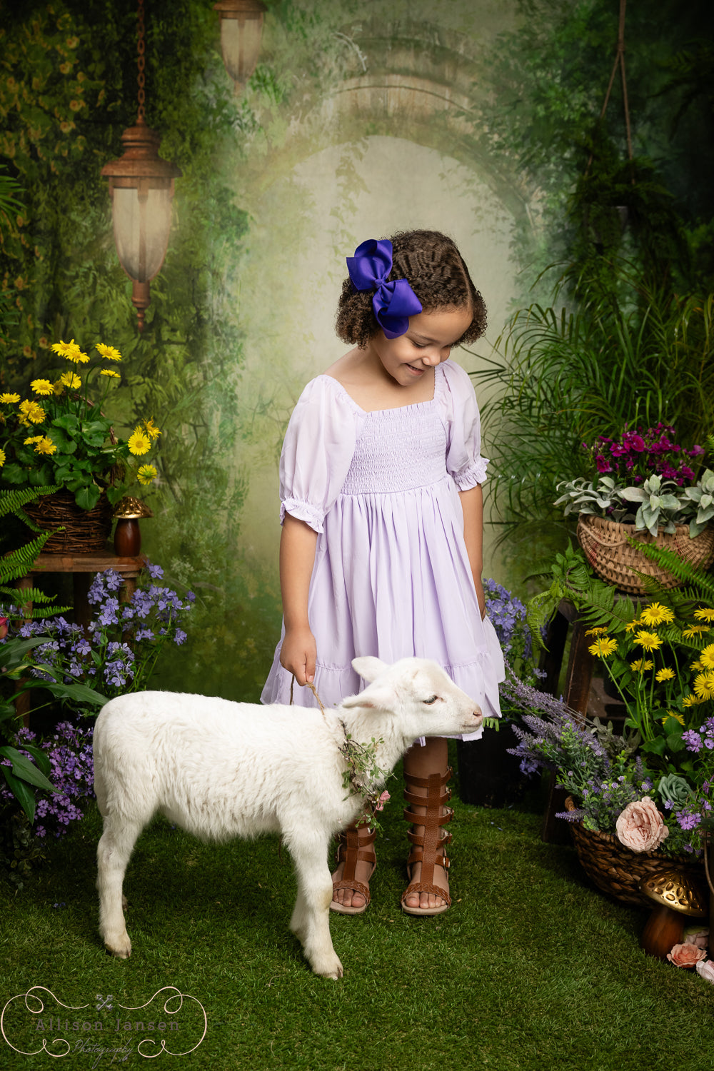 Enchanted Forest Backdrop Magical Misty Arch Lanterns Forest Backdrop UK MRR9-94