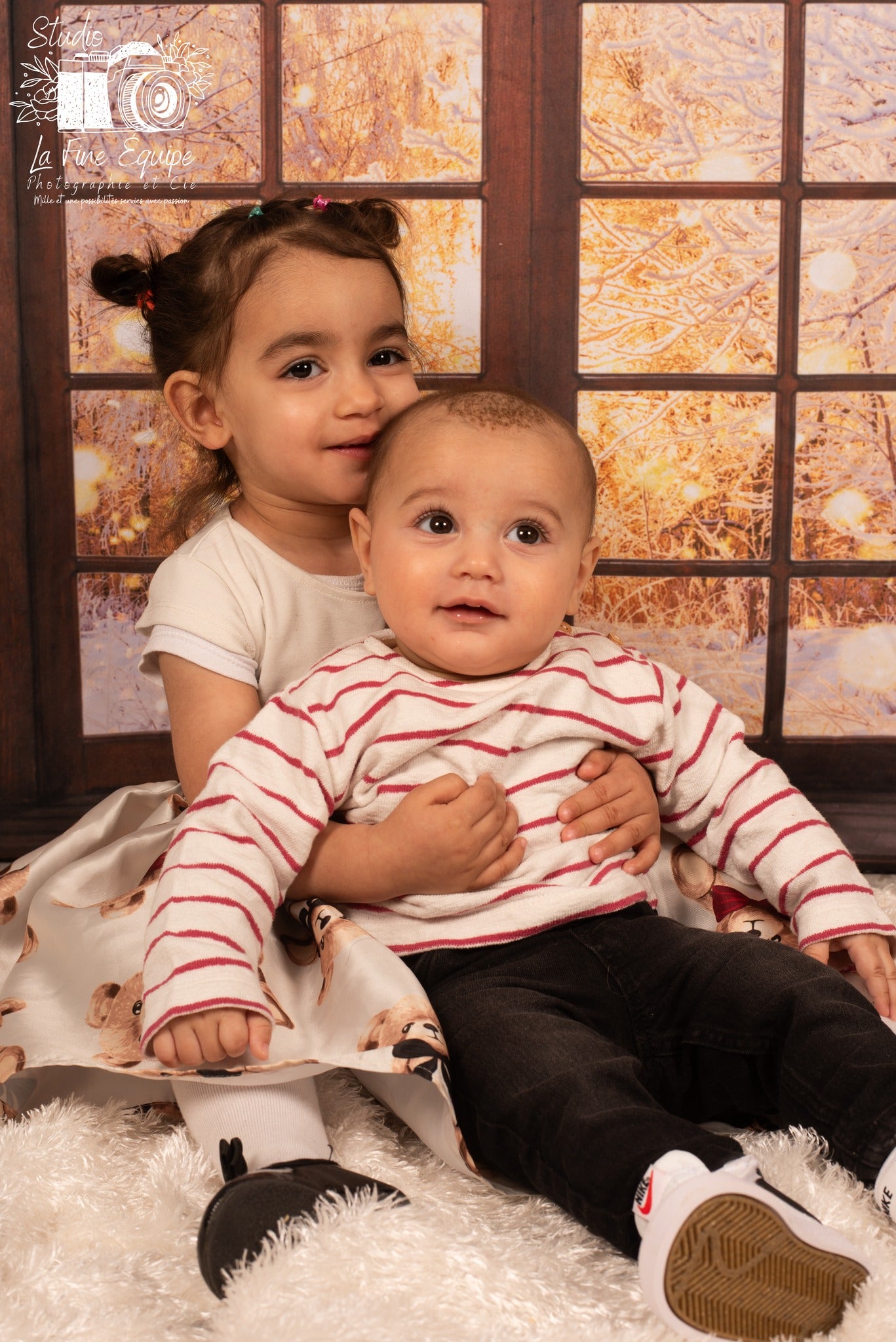 Winter Snow Scene Window Photography Backdrop D700