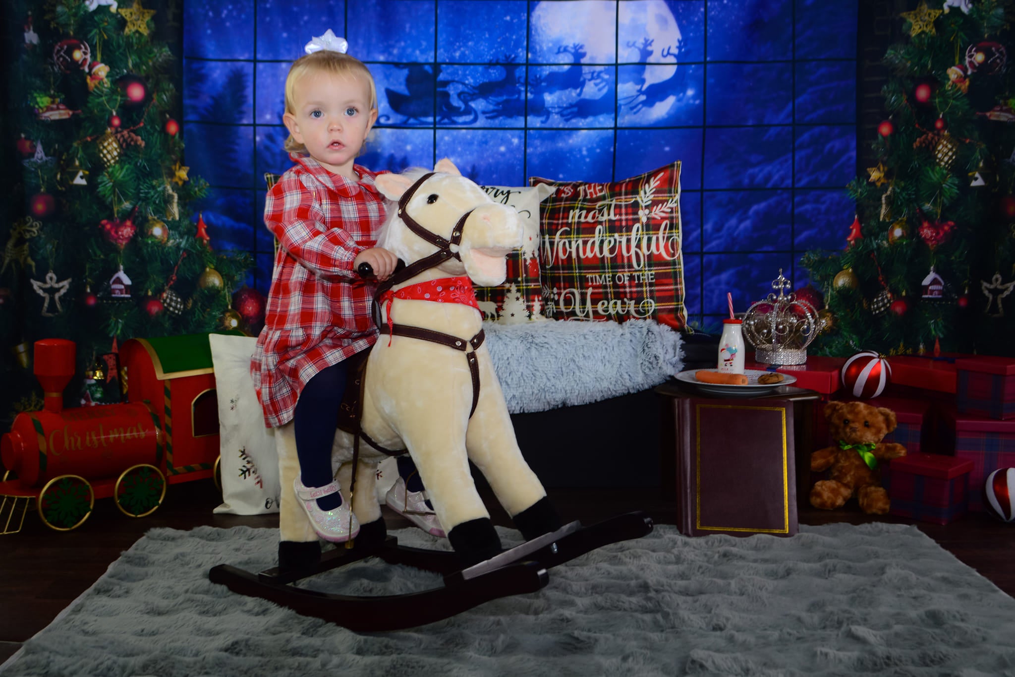 Christmas Tree Window Gifts Photography Backdrop D822