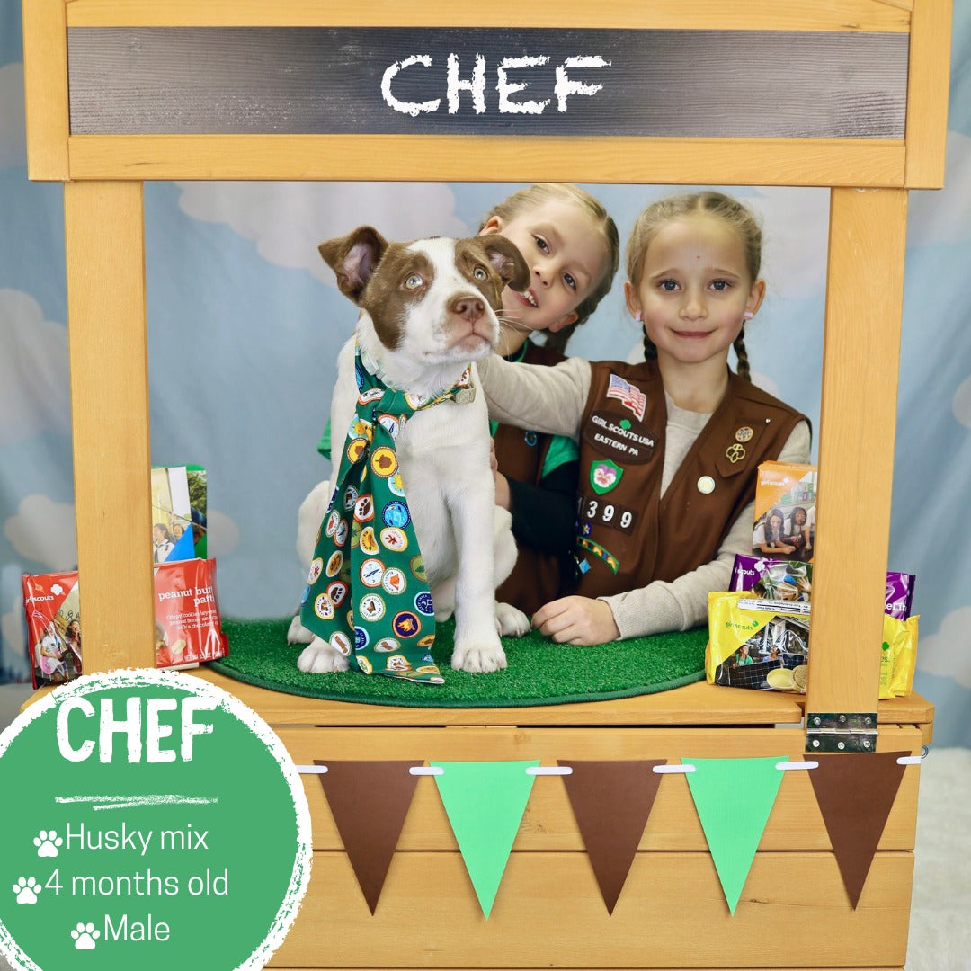 Blue Sky White Clouds Cartoon Backdrop for Kids Photography lv-1094