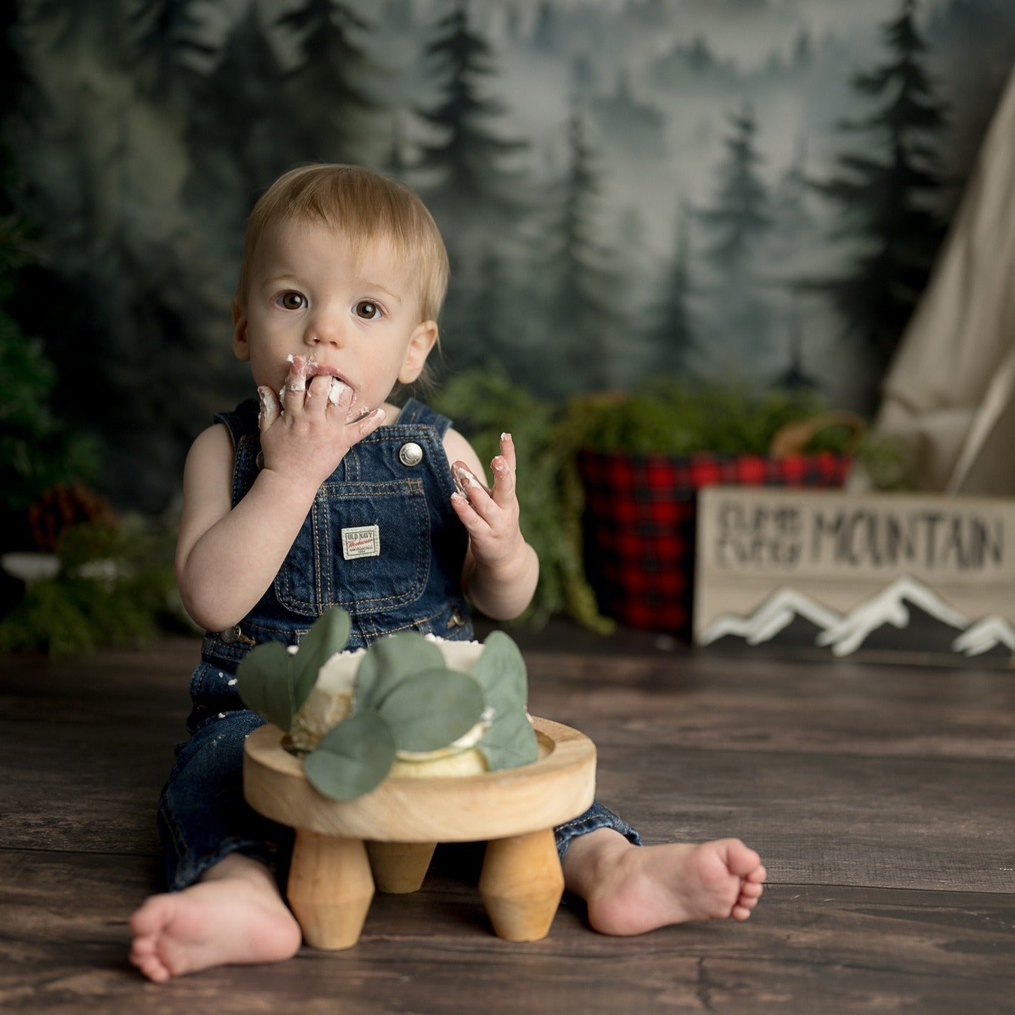 Forest Backdrop Forest Mountain Mist Layers Forest Photography Backdrop UK MRR9-74