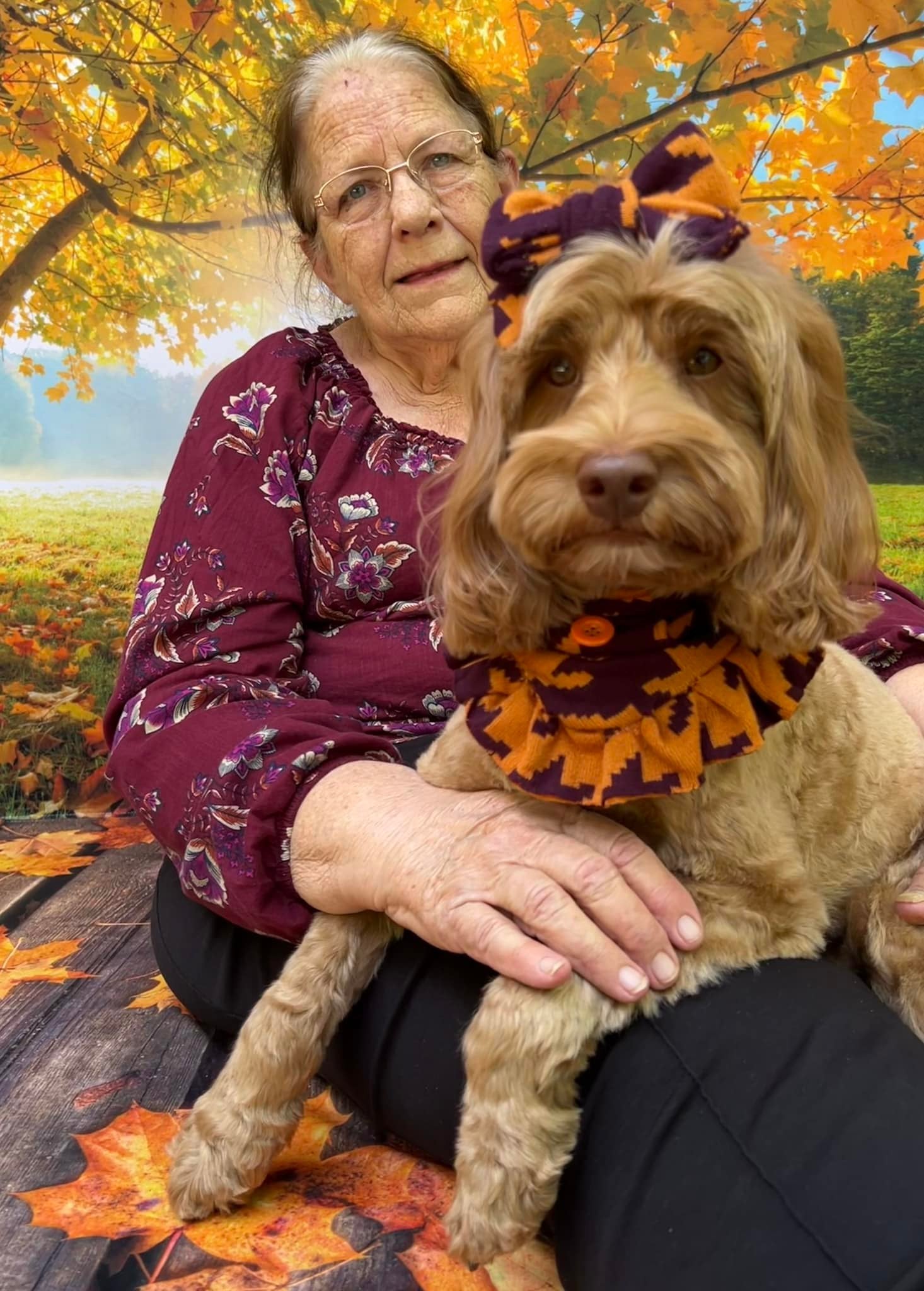 Maple Tree Autumn Scenery Photography Backdrop UK M6-102