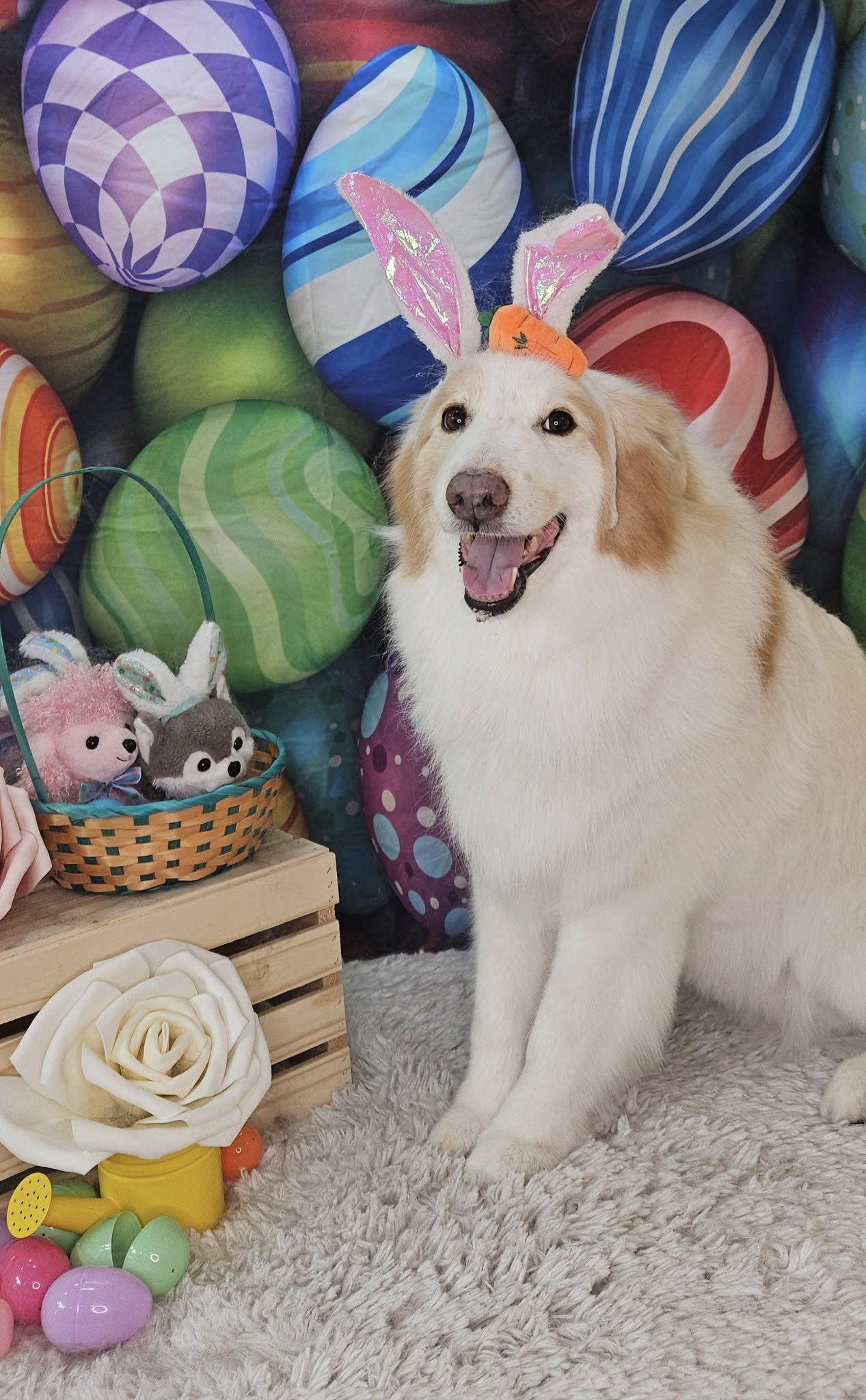 Colorful Easter Eggs backdrop UK for Photography SH032