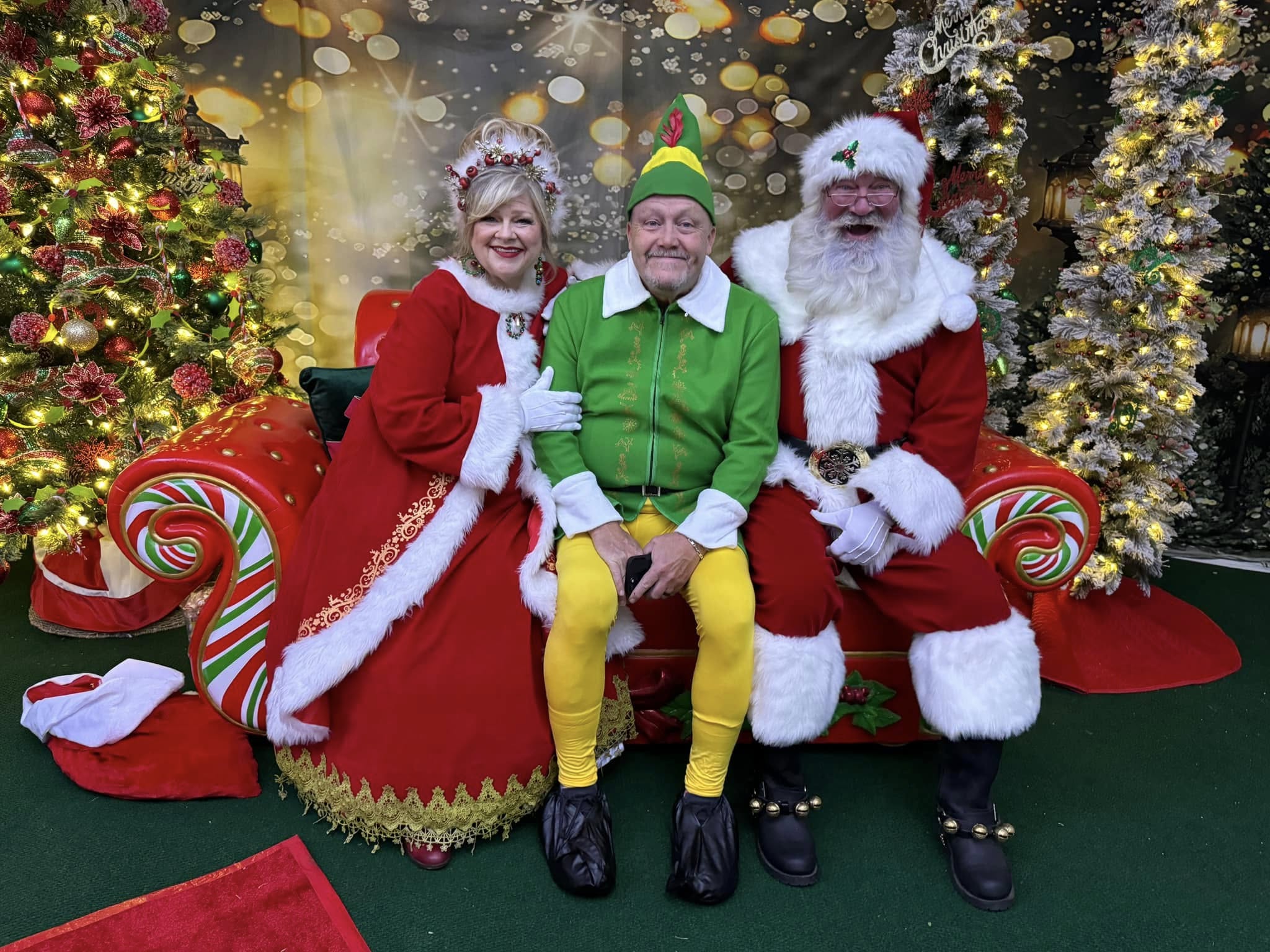 Outdoor Christmas Trees Lights Flashing backdrop UK G-1440