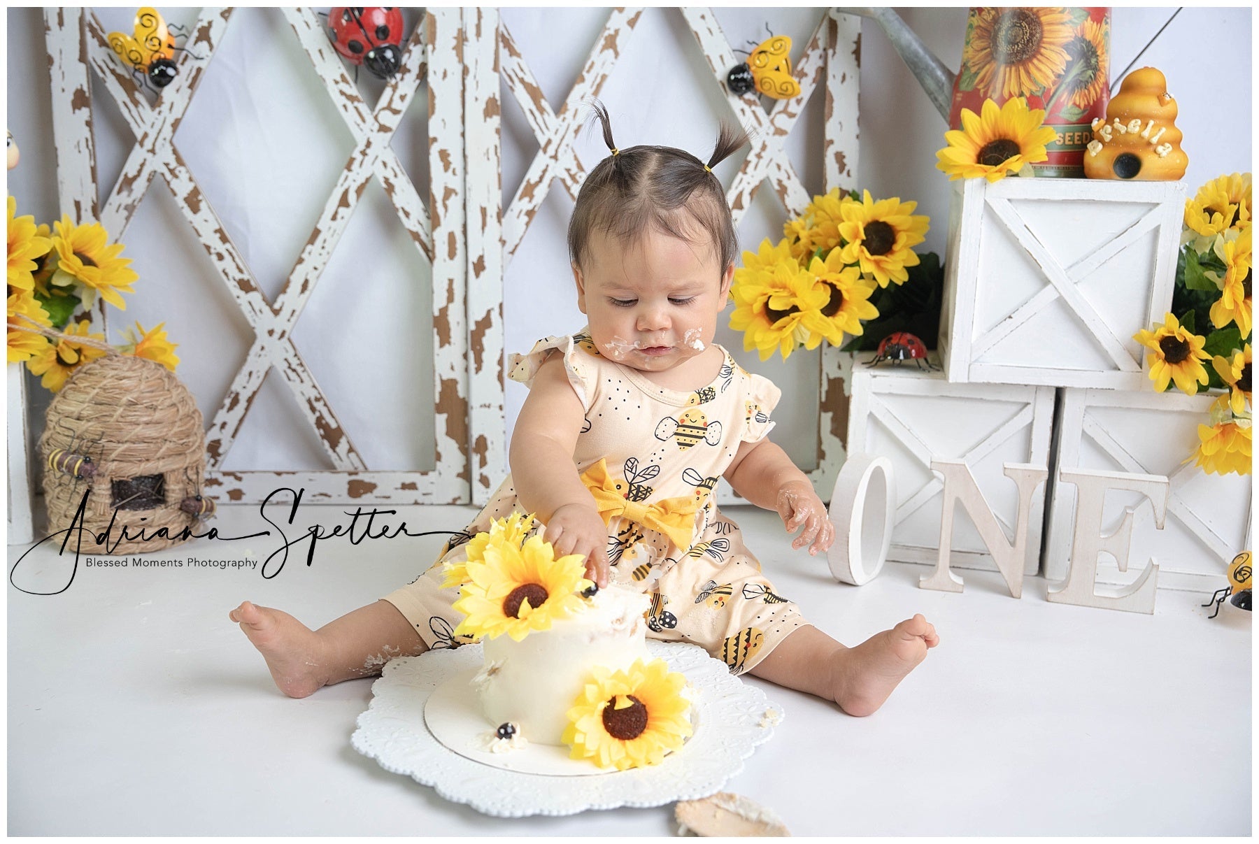 Children Backdrops Rustic Sunflower Garden Newborn Photo Backdrop UK MRR9-112