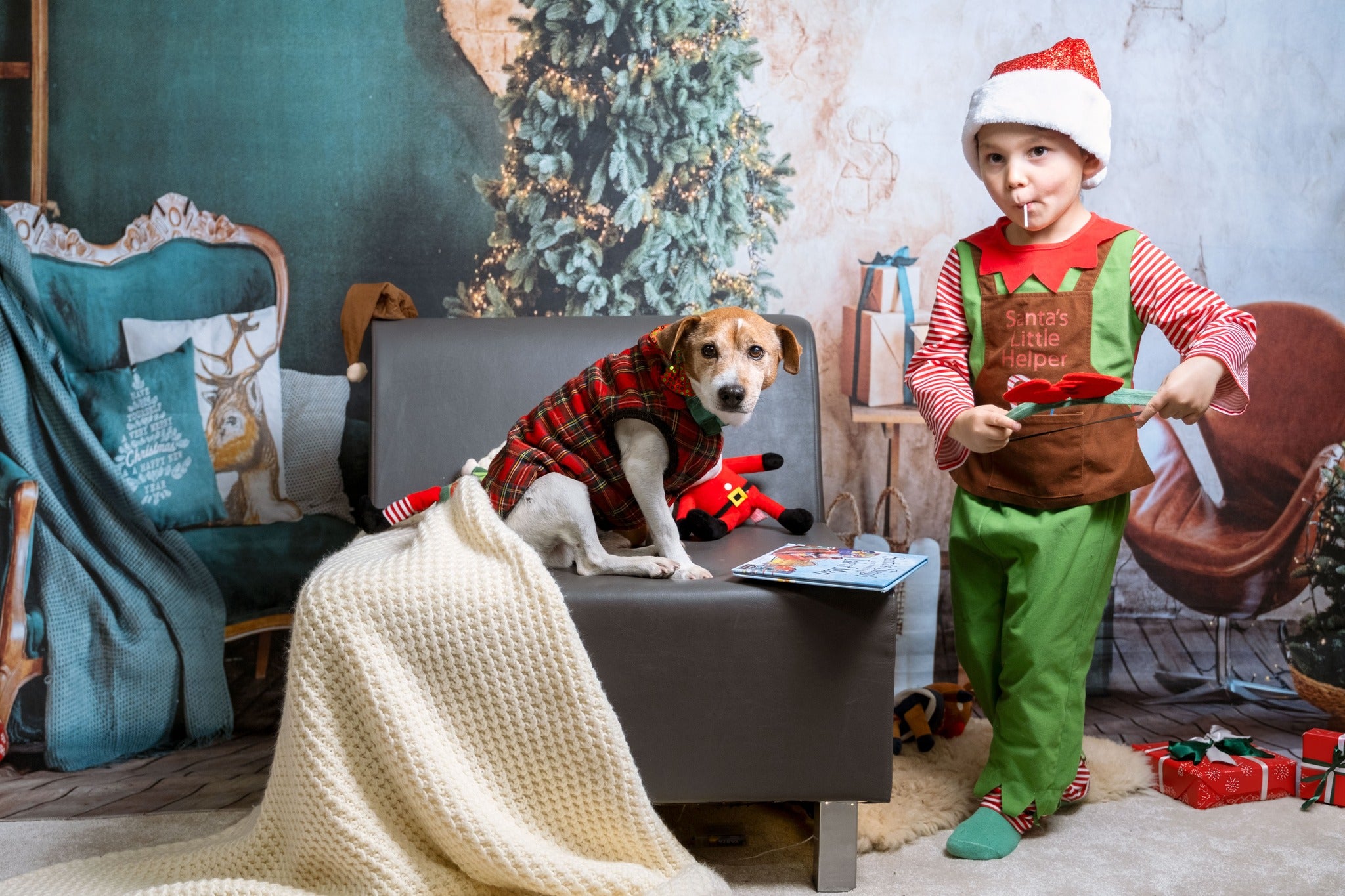 Artistic Christmas Tree Interior Room Decoration Emerald backdrop UK GX-1098