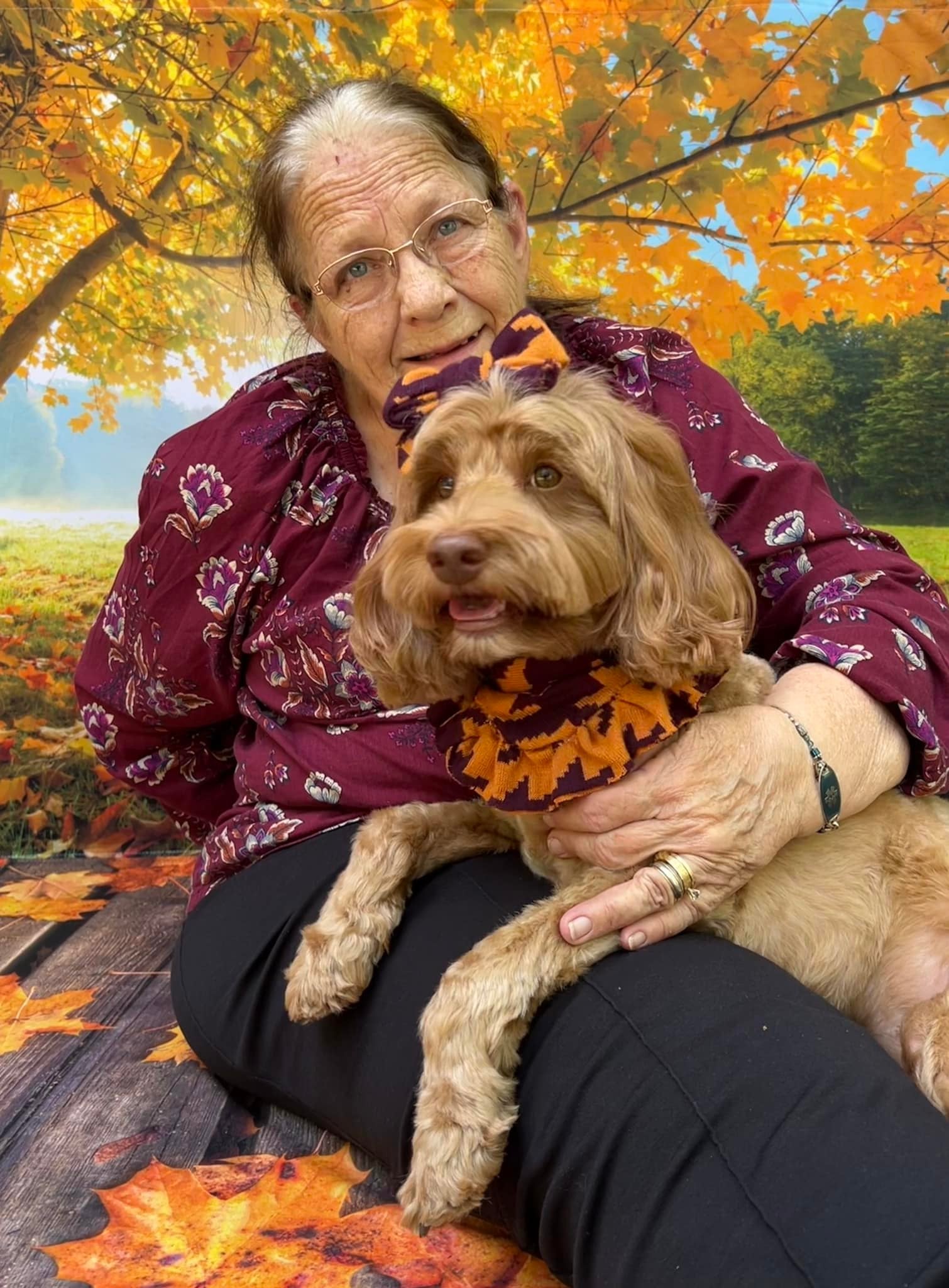 Maple Tree Autumn Scenery Photography Backdrop UK M6-102