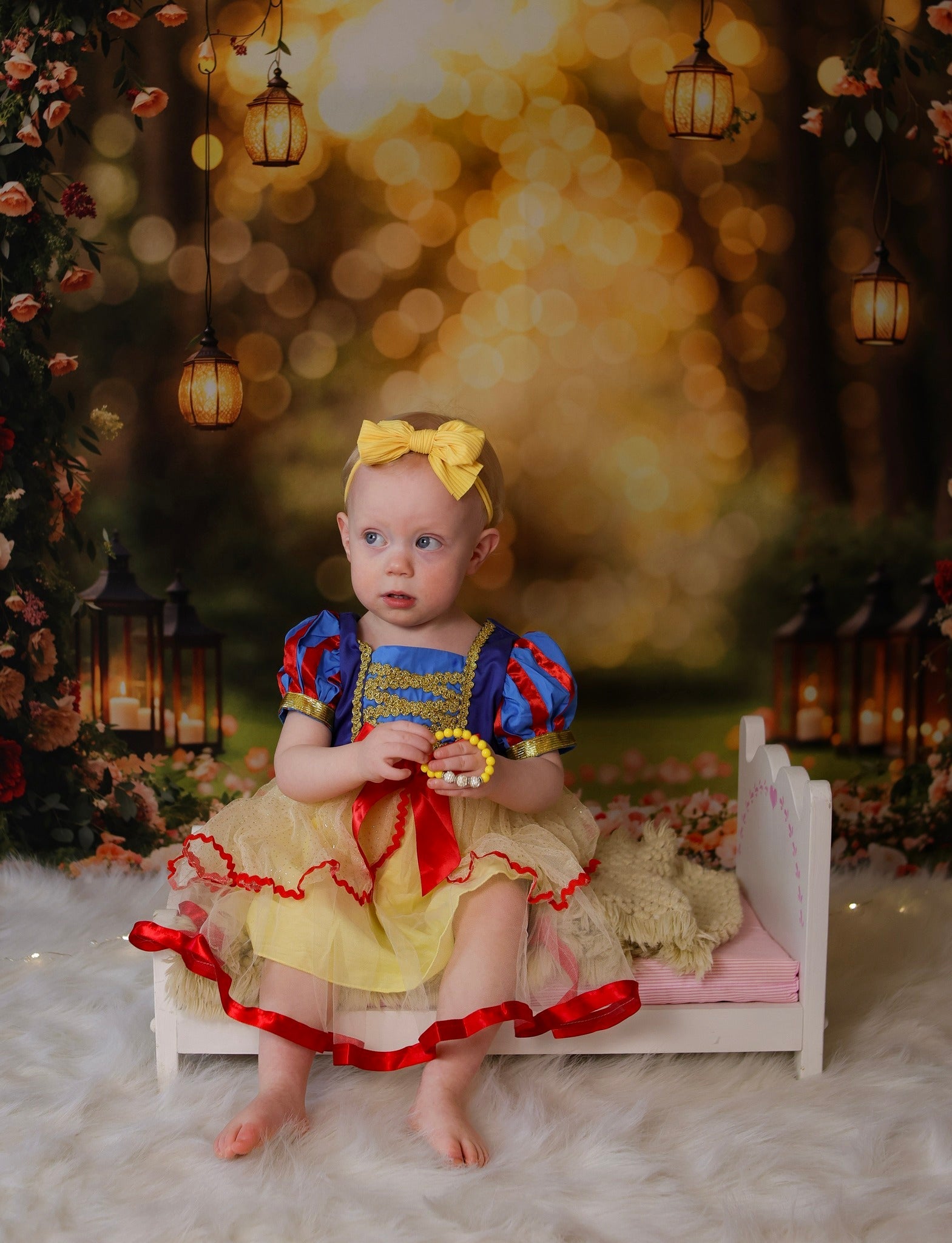 Flower Backdrop Romantic Rose Arch Lanterns Floral Photo Backdrop UK MRR9-81