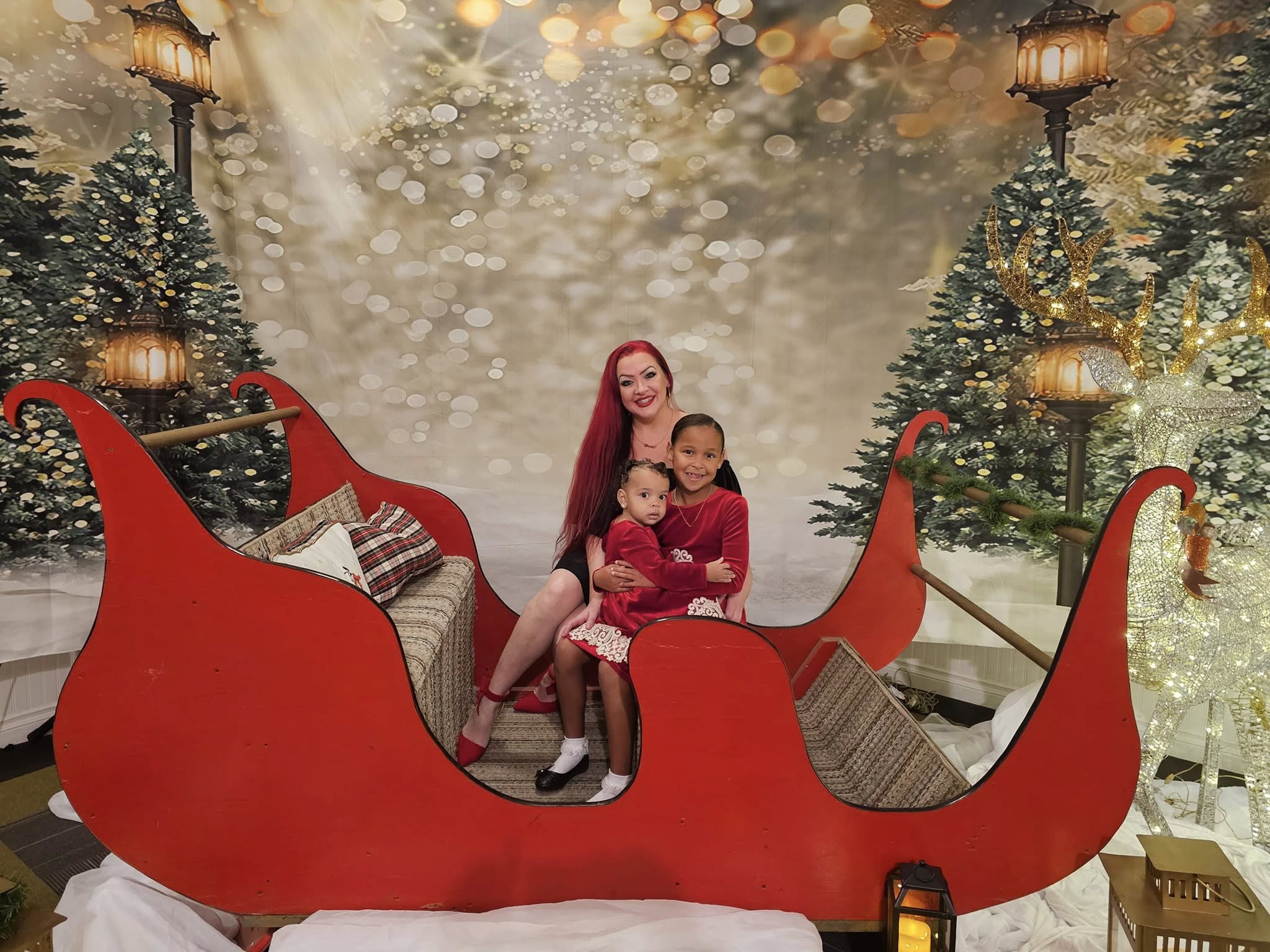 Outdoor Christmas Trees Lights Flashing backdrop UK G-1440