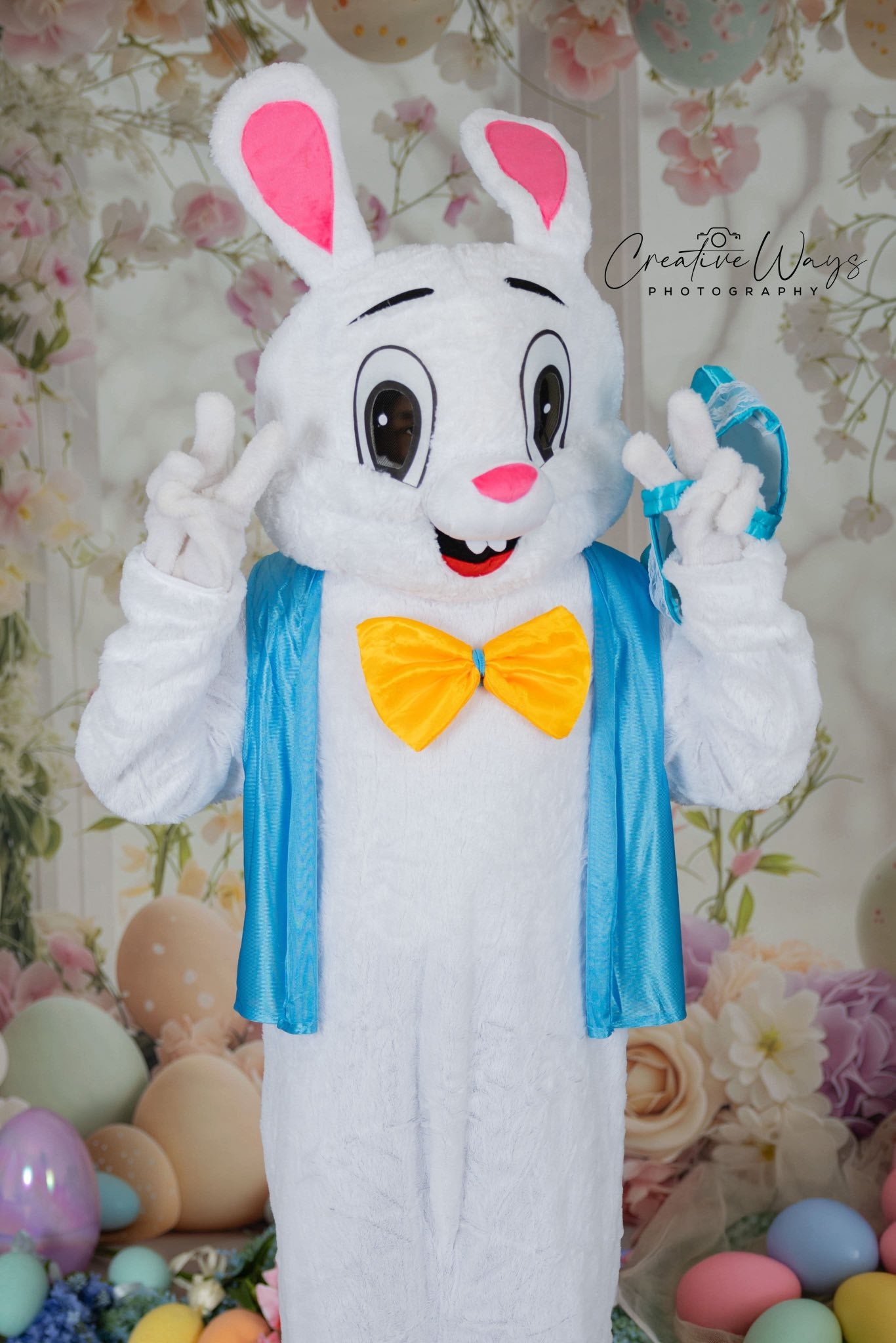 Easter Photo Backdrop Charm Window Rabbits Backdrop UK BRP1-213