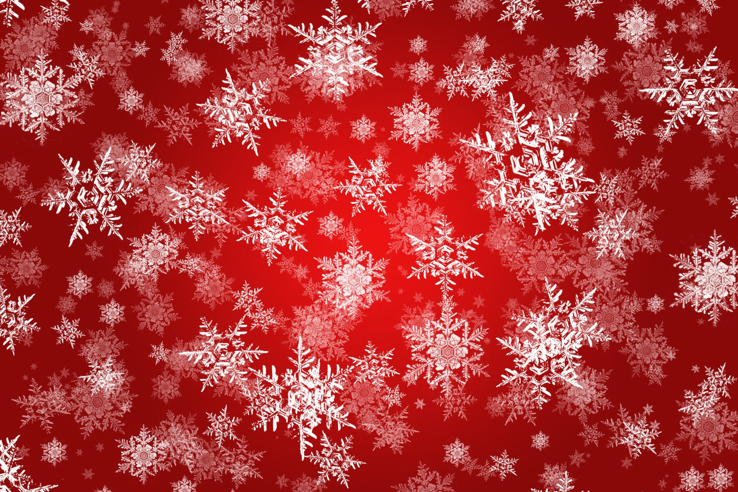 Winter Backdrop Ideas Snowflakes Red Magic Photography Backdrop UK BRP11-457