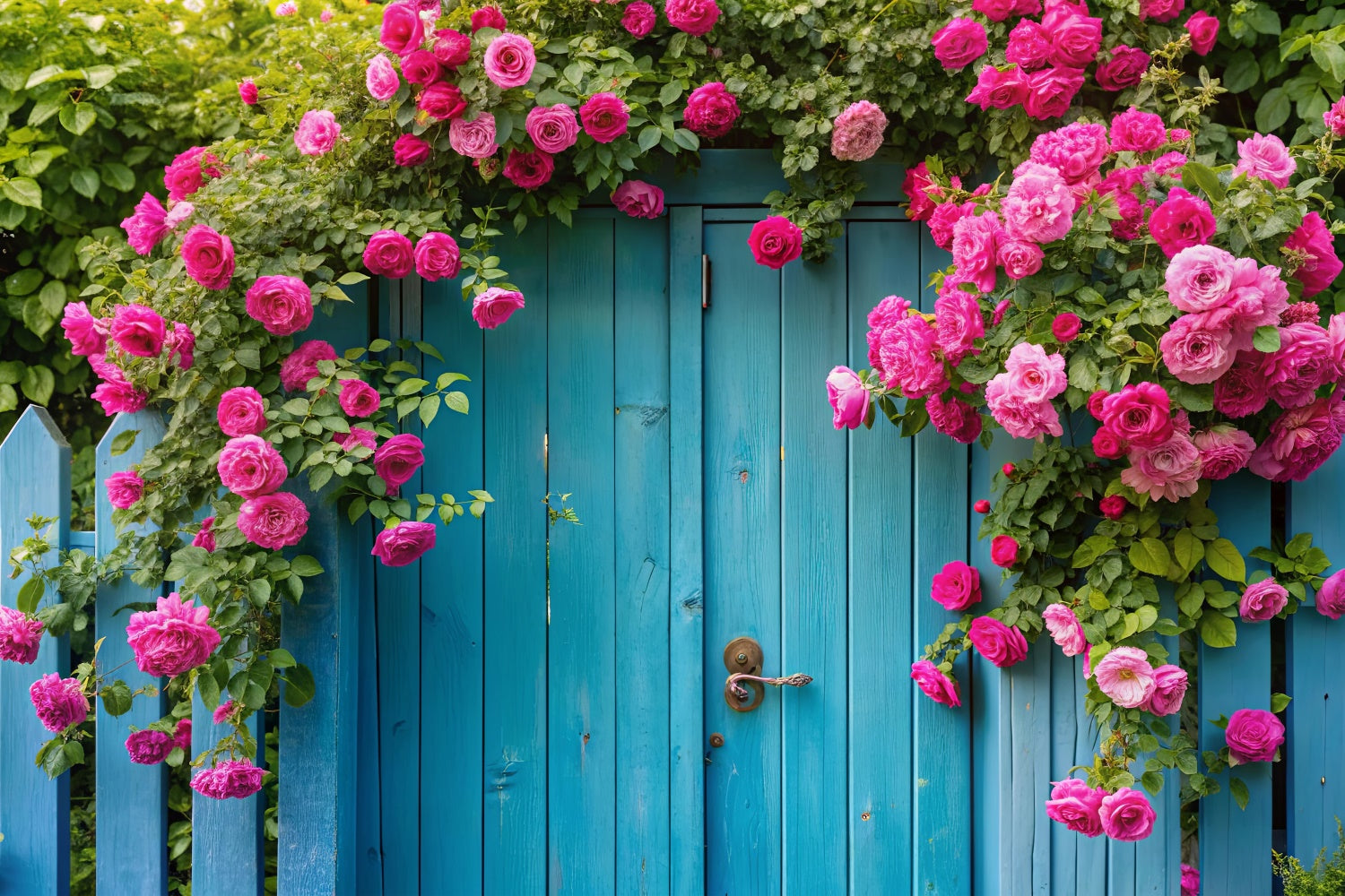 Spring Photo Backdrop Pink Roses Vintage Blue Gate Backdrop UK BRP12-489