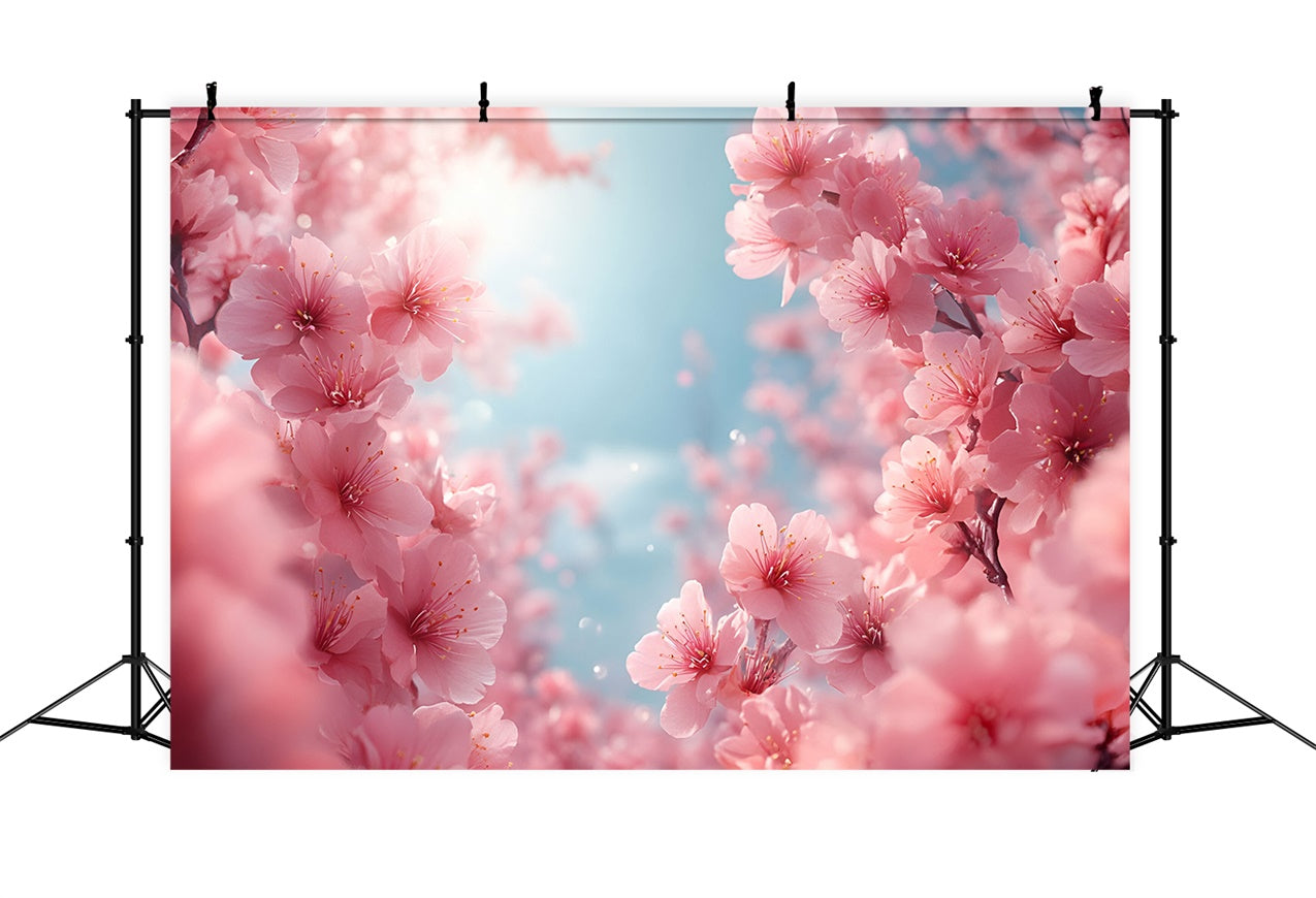 Photography Backdrops Spring Blush Pink Cherry Blossoms Backdrop UK BRP12-500
