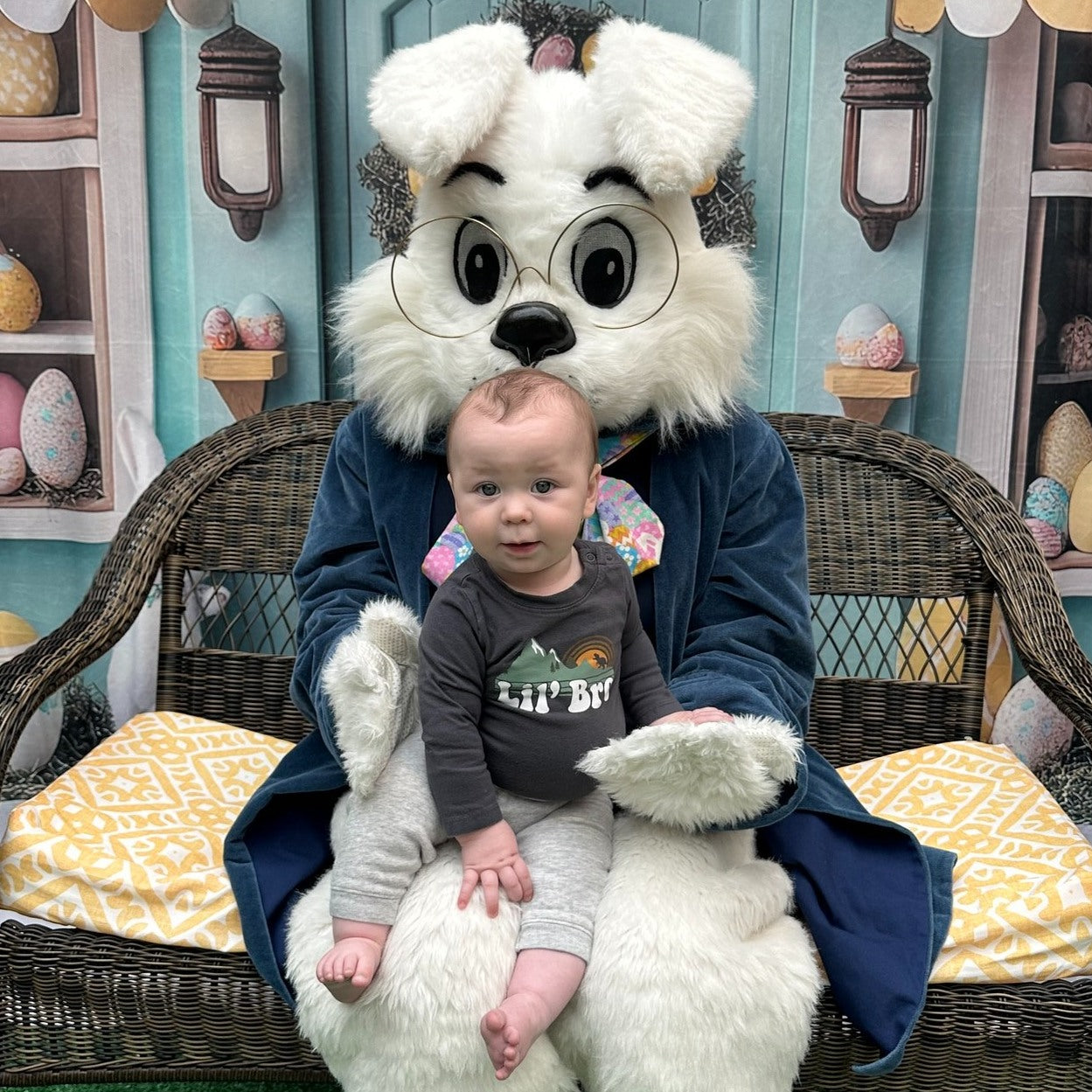 Easter Backdrops Photography Whimsical Bunny Store Scene Backdrop UK BRP12-734