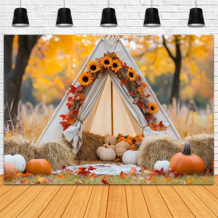 Newborn Photography Backdrops Maple Glow Tent Backdrop UK BRP57-268