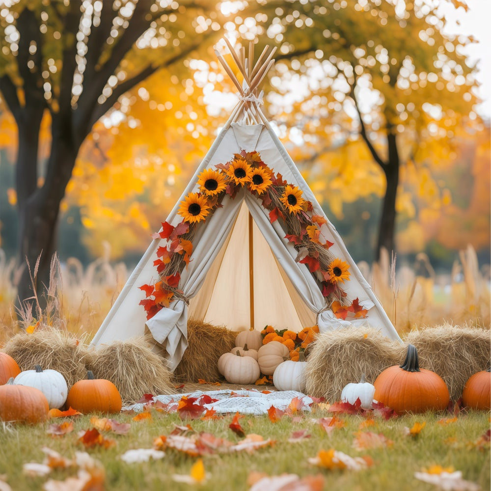 Newborn Photography Backdrops Maple Glow Tent Backdrop UK BRP57-268