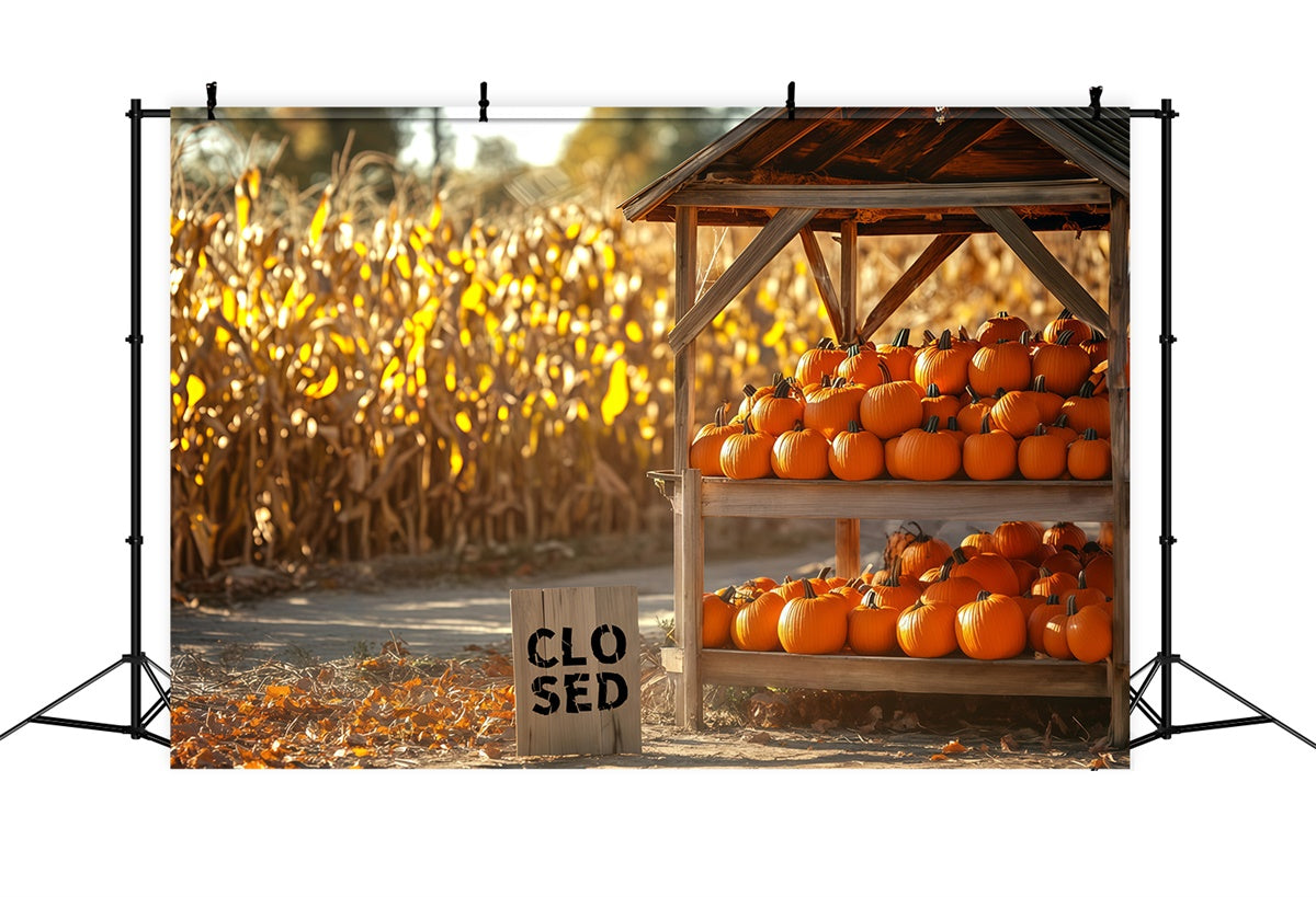 Backdrop For Thanksgiving Cornfield Pumpkin Booth Backdrop UK BRP57-329