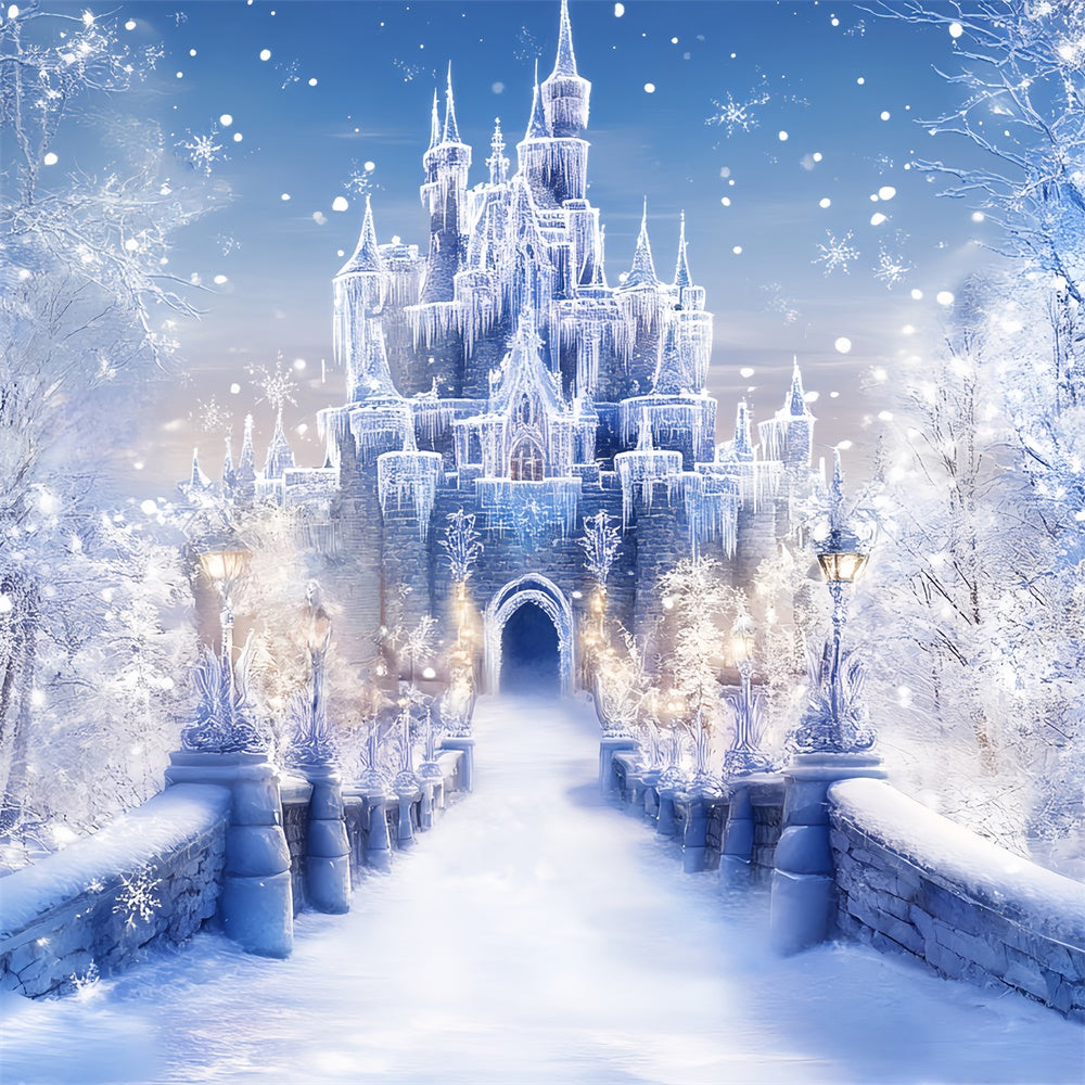 Winter Castle Backdrop Frost Castle Entrance Backdrop UK BRP57-366