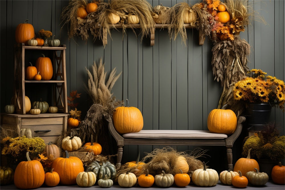 Autumn Pumpkin Shelf Reed Photography Backdrop UK BRP7-127